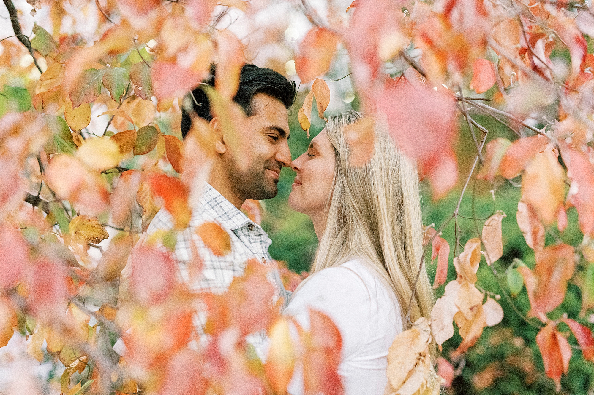 man and woman lean together in tree with red leaves