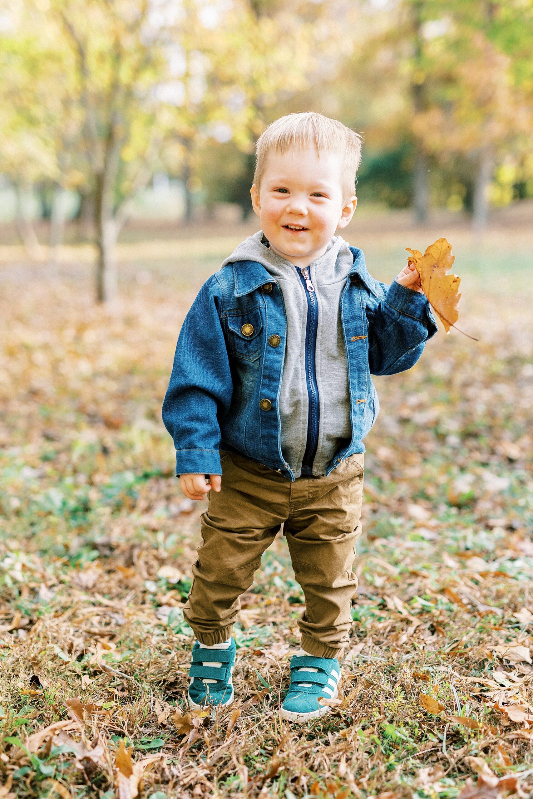toddler plays in the leaves during fall mini session at Rob Wallace Park