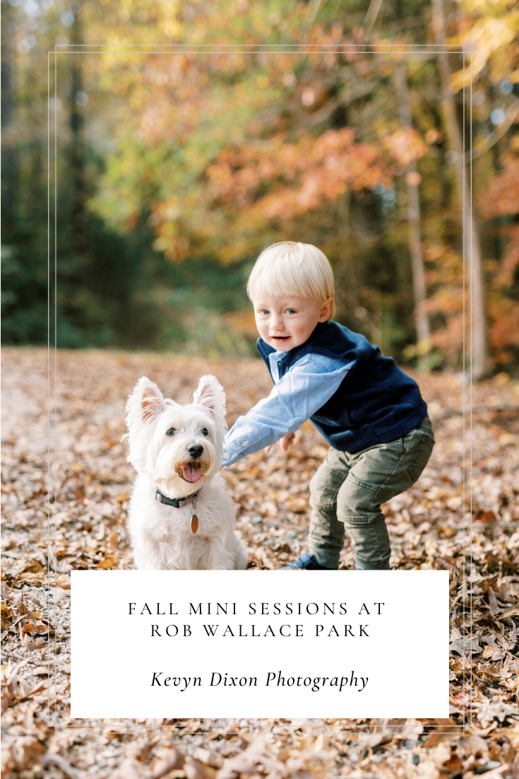 Fall Mini Sessions in Charlotte NC at Rob Wallace Park photographed by NC family photographer Kevyn Dixon Photography