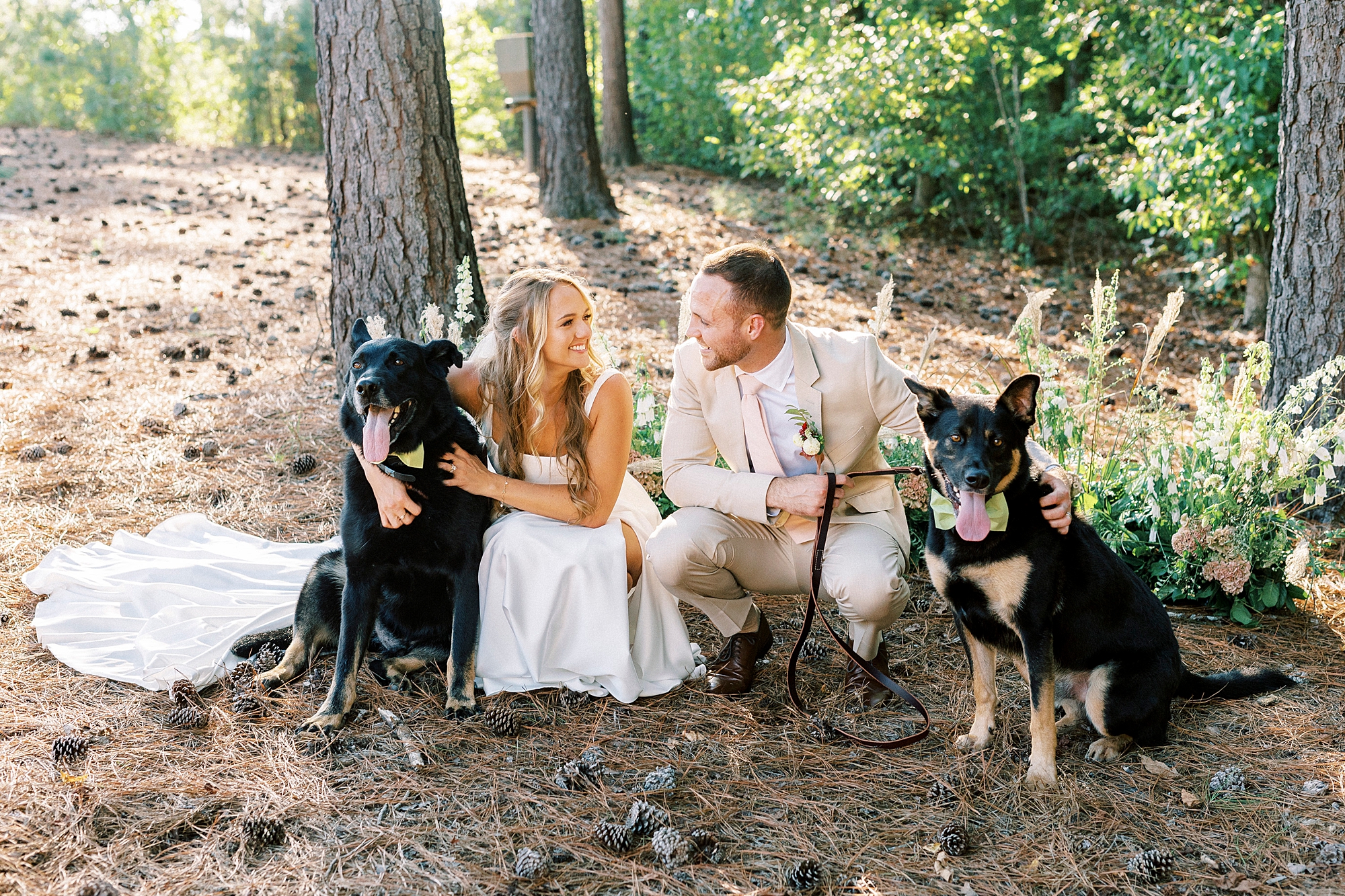 bride and groom kneel with dogs in backyard at Richfield NC home