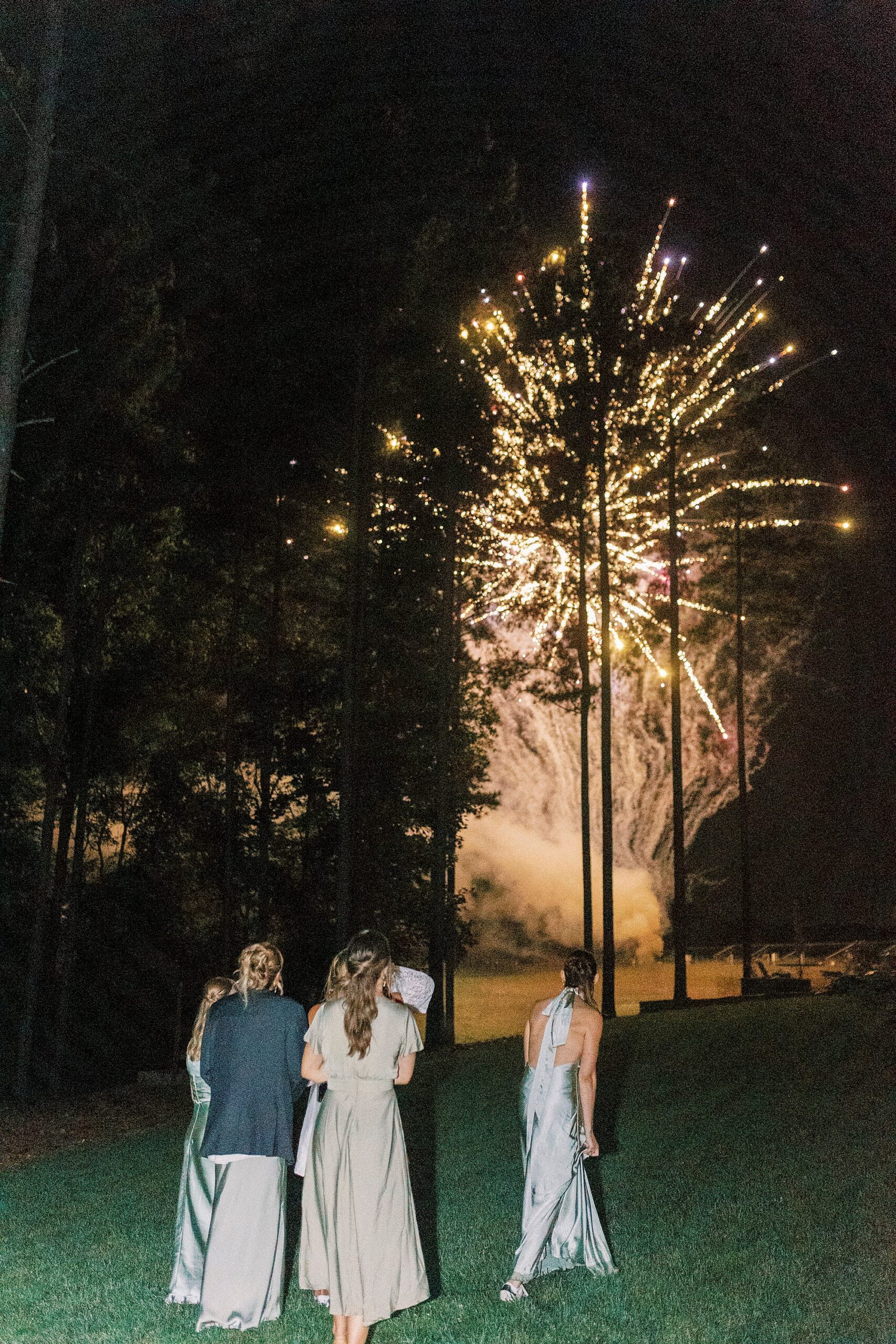 guests watch fireworks in backyard of Richfield NC home