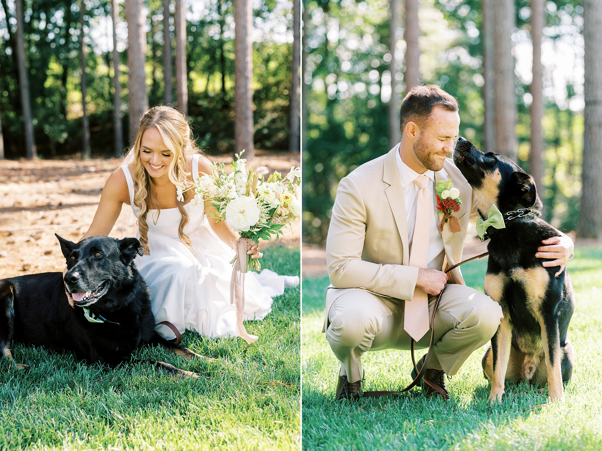 bride and groom kneel with dogs on a lawn of home in Richfield NC