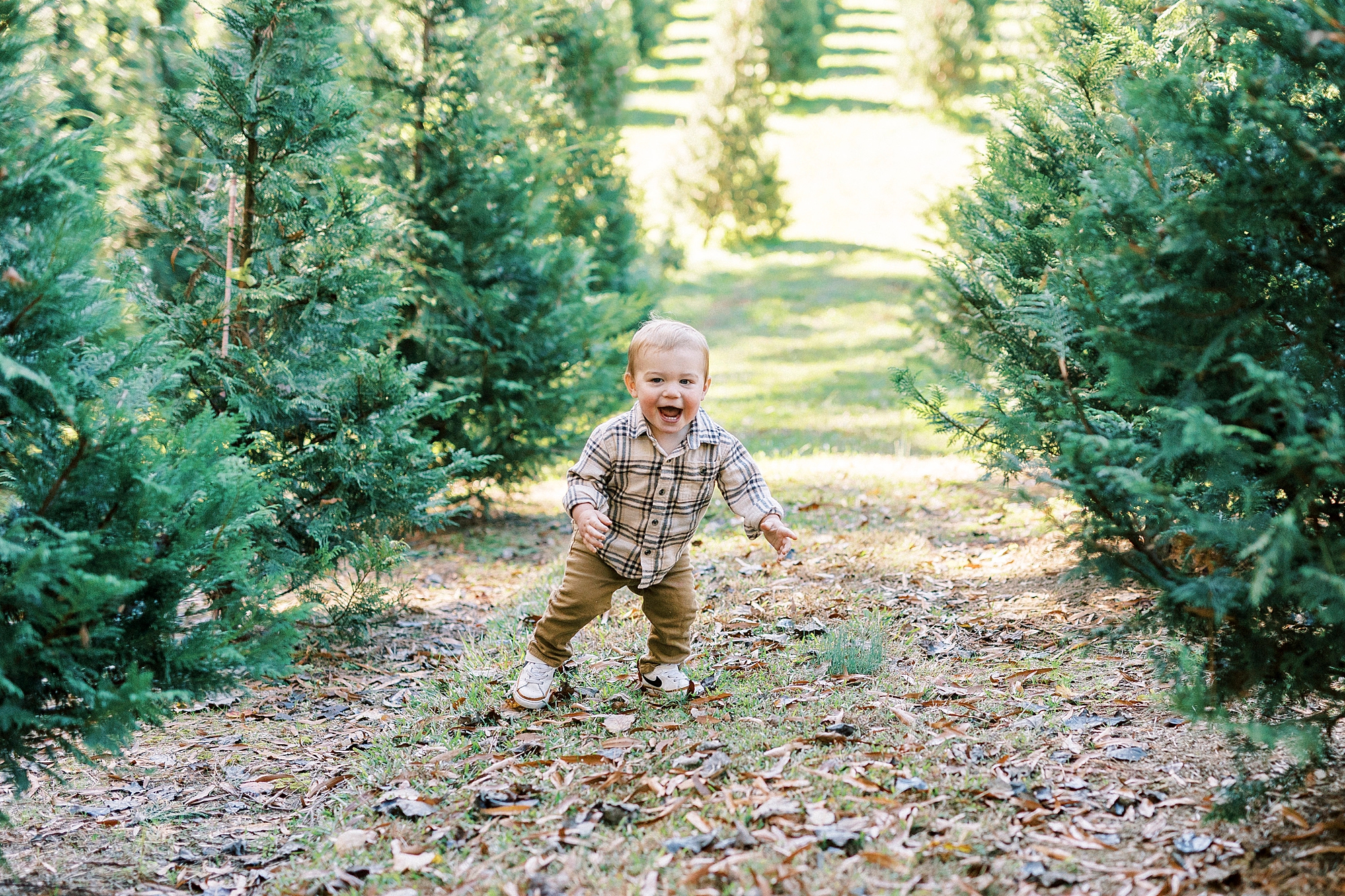 toddler runs through trees at Almond Christmas Tree Farm