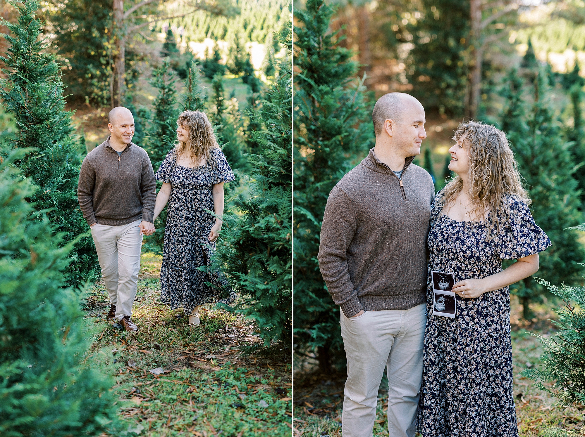 expecting couple holds sonogram between trees at Christmas tree farm