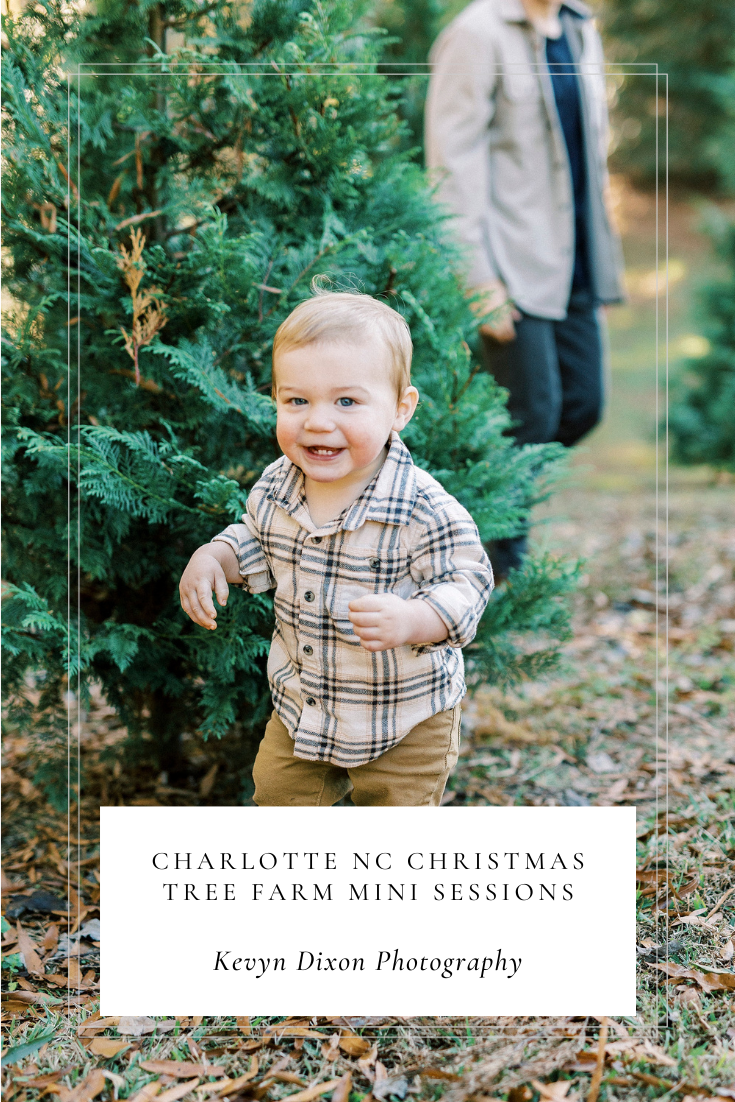 Charlotte NC Christmas Tree Farm Mini Sessions photographed by North Carolina family photographer Kevyn Dixon Photography