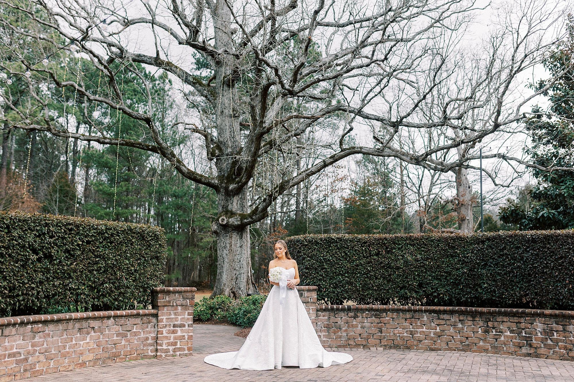 bride stands in between hedges in brick courtyard at the Sutherland in Wake Forest NC