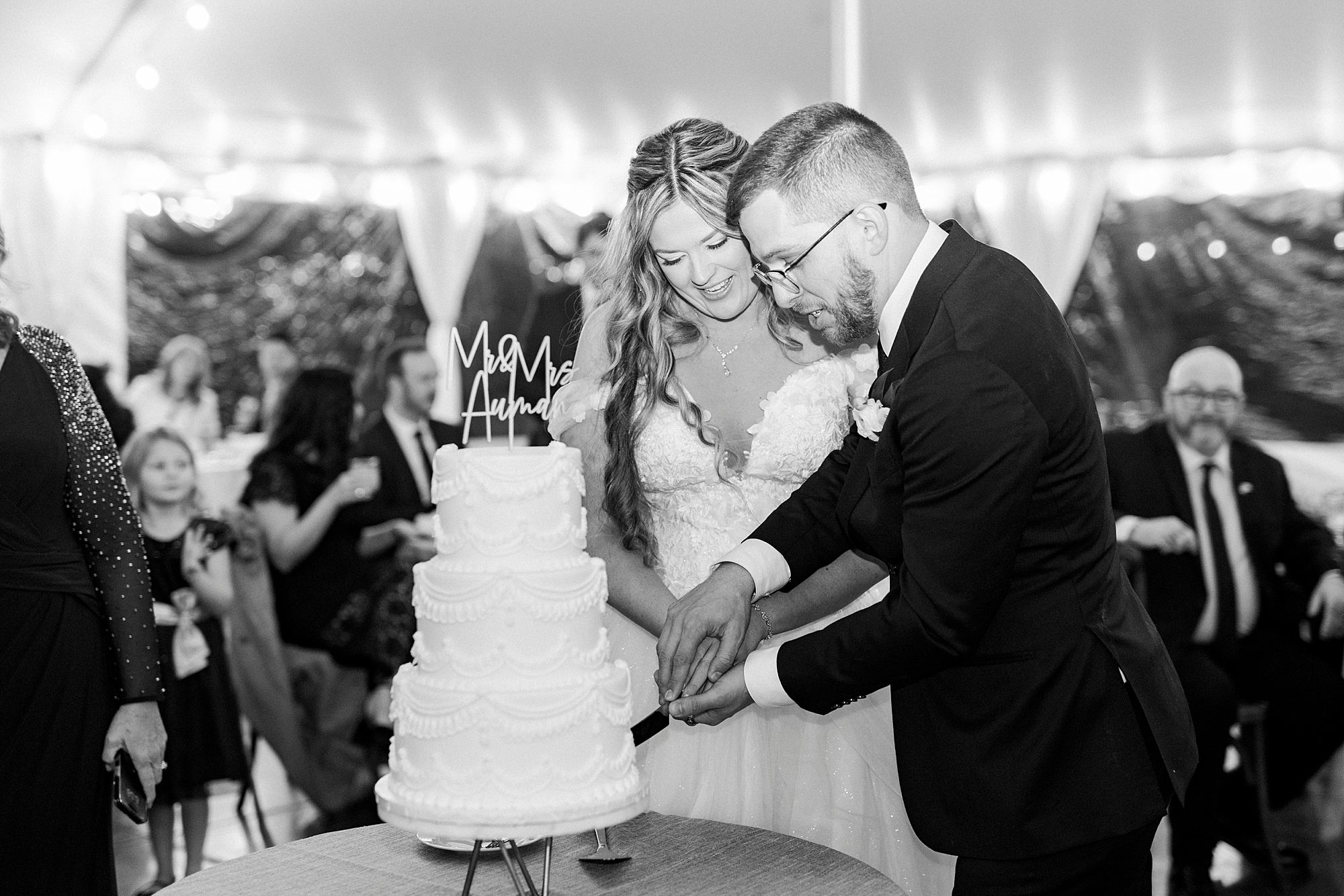 bride and groom cut wedding cake during reception at Summerfield Farms