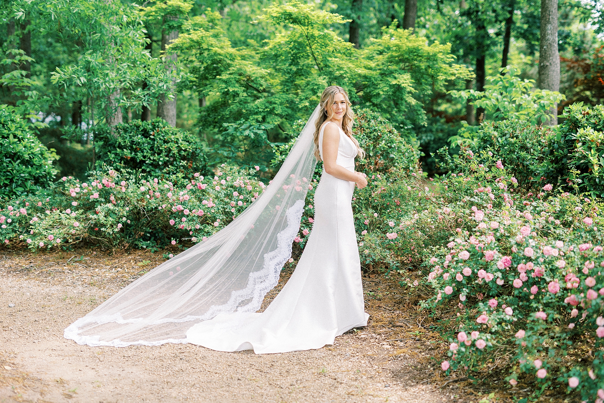 bride stands among pink rose bushes at Morning Glory Farm