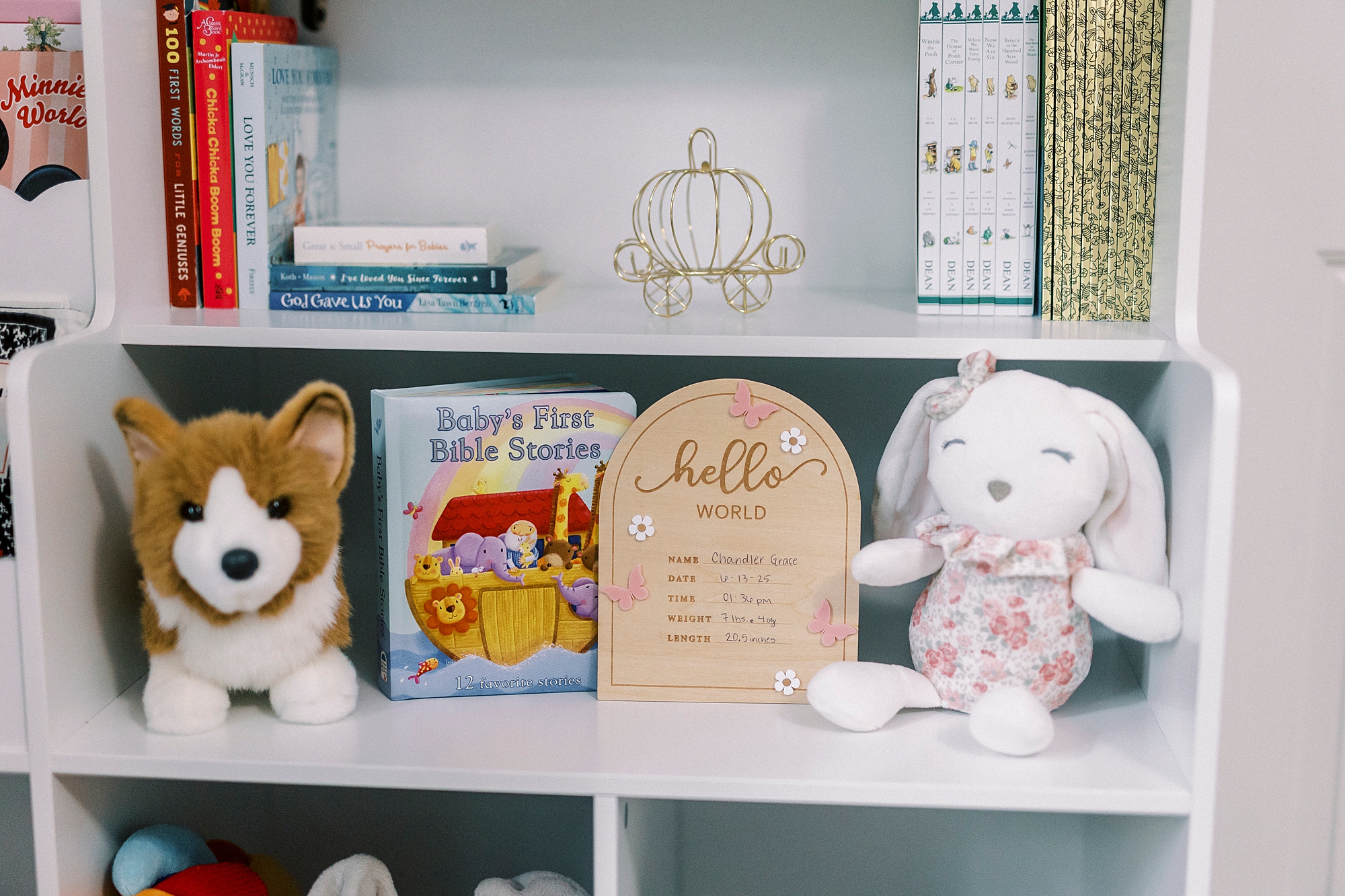 bookshelf in nursery for baby girl