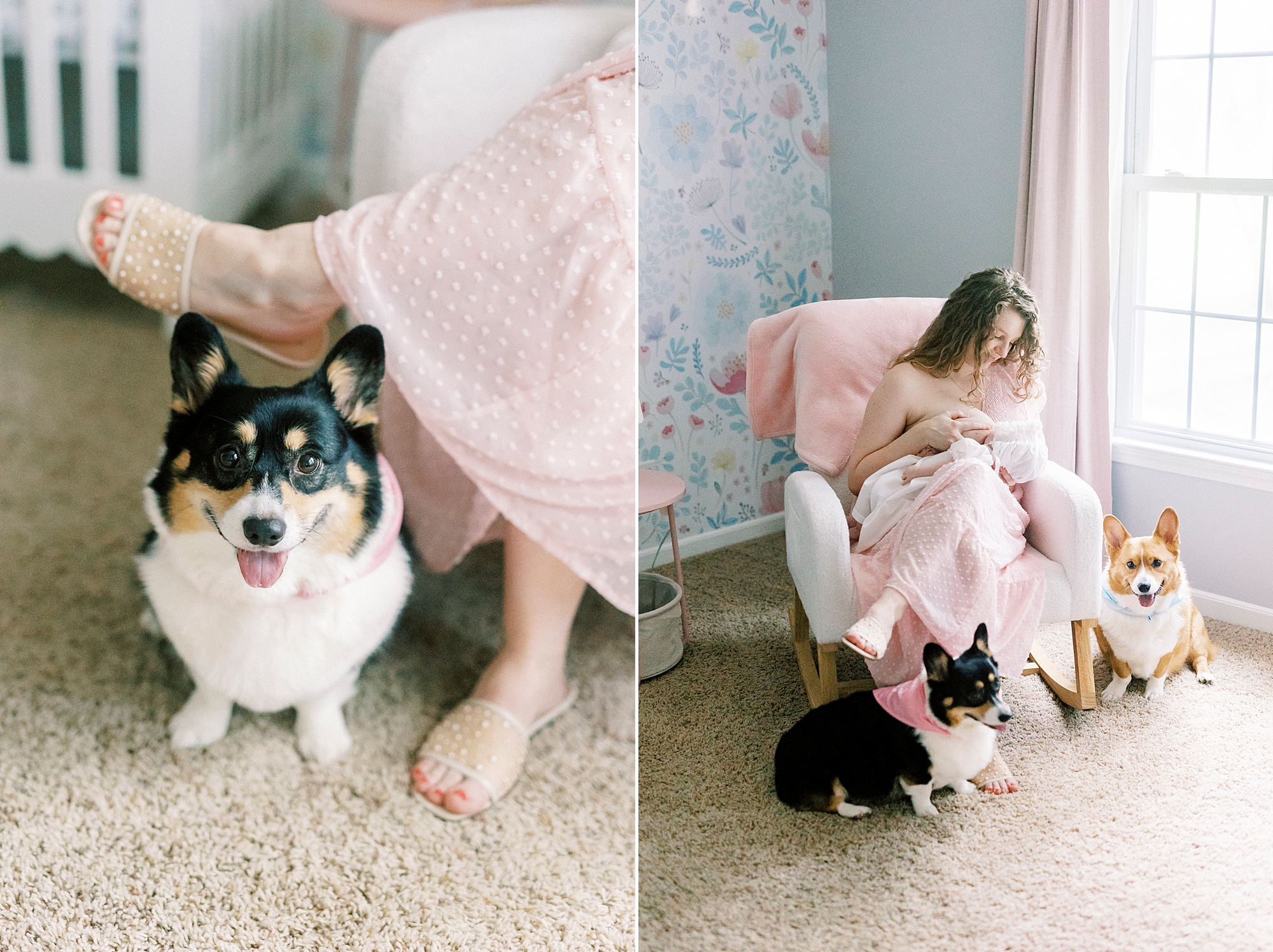 mom in pink dress rocks baby with two dogs at her feet during lifestyle newborn session with Winston-Salem family photographer