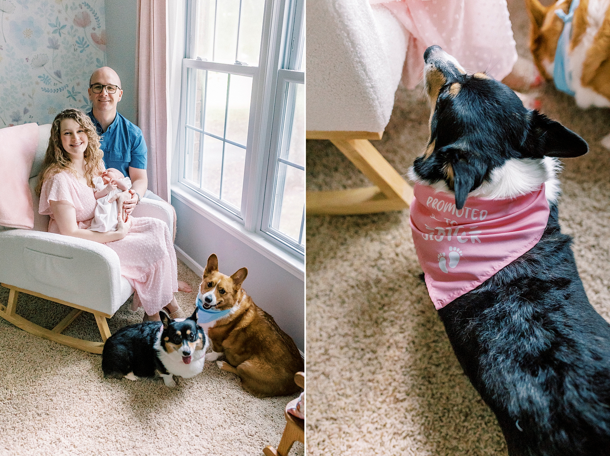 parents stand by window of nursery with dogs and new baby