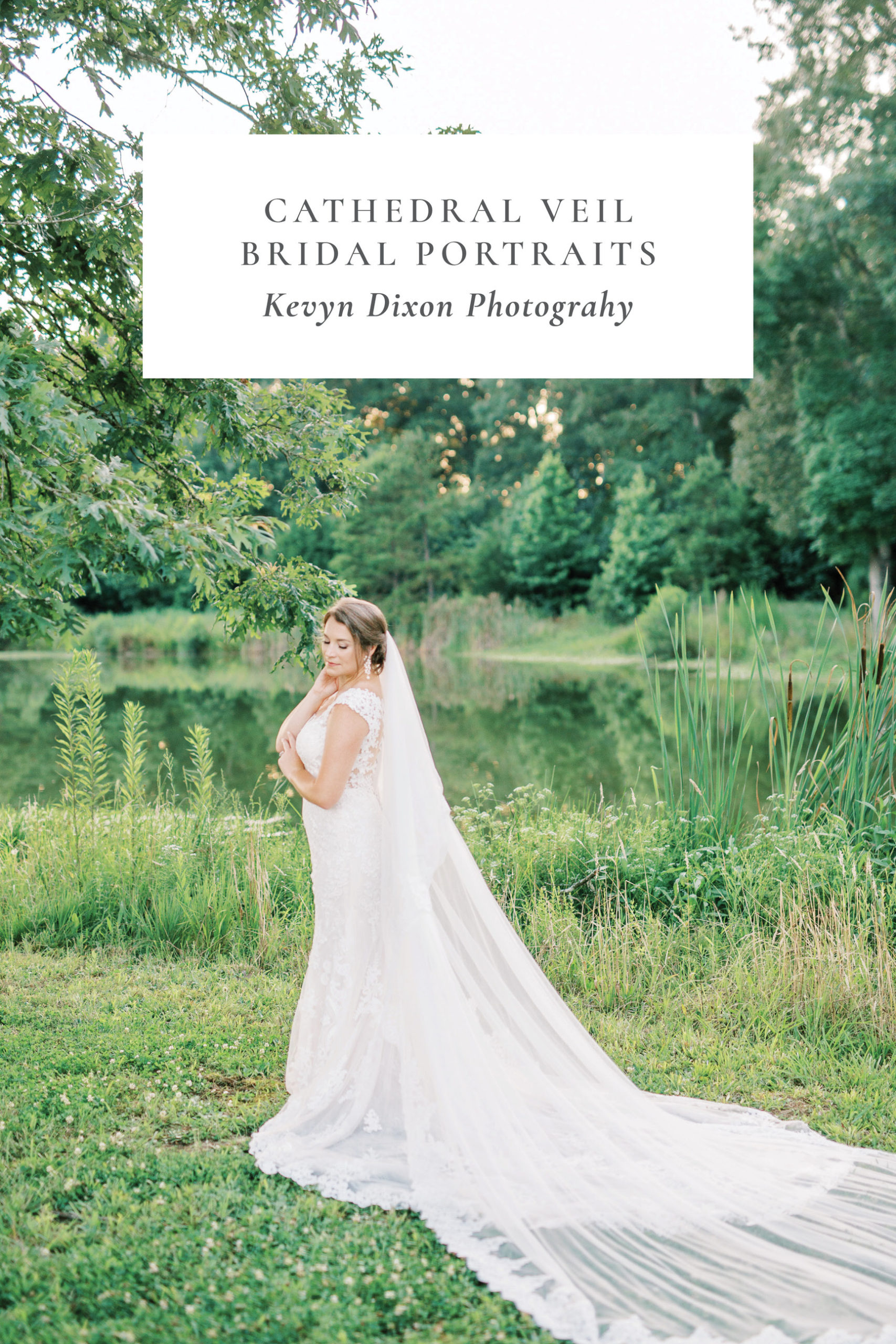 Cathedral Veil Bridal Portraits