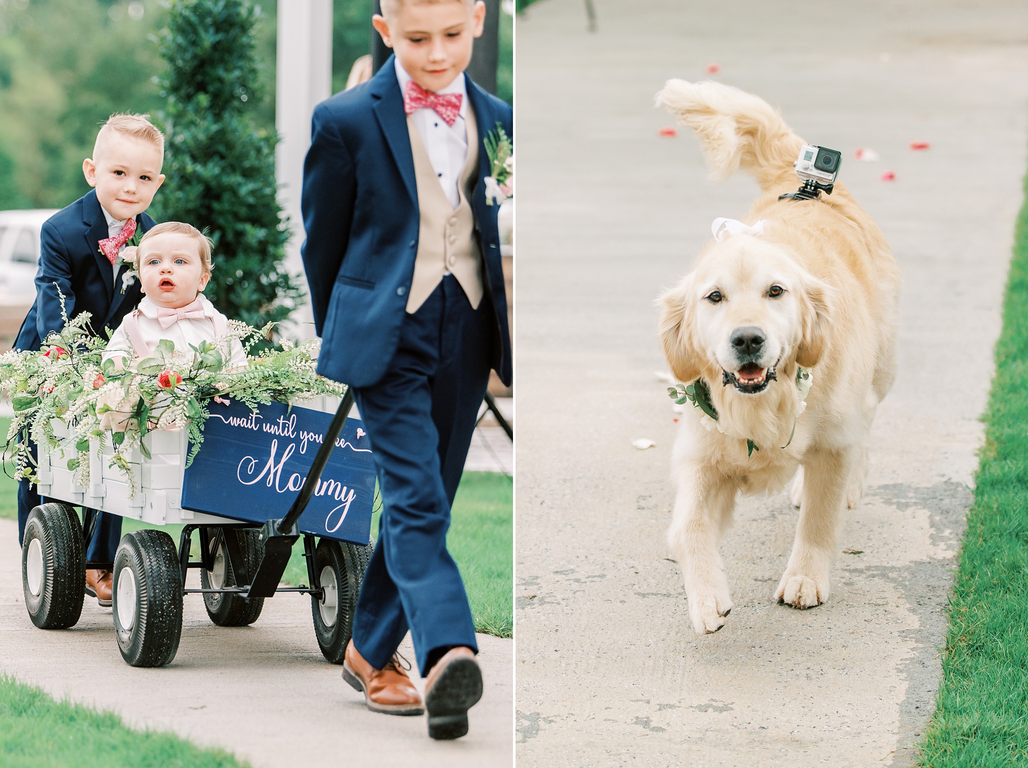 ring bearers pull son of bride and groom in wagon