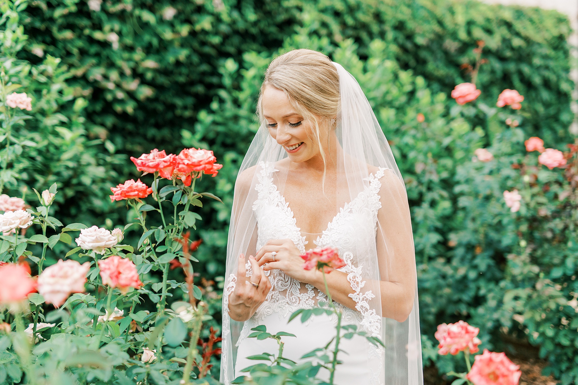 bride looks at pink roses while holding veil