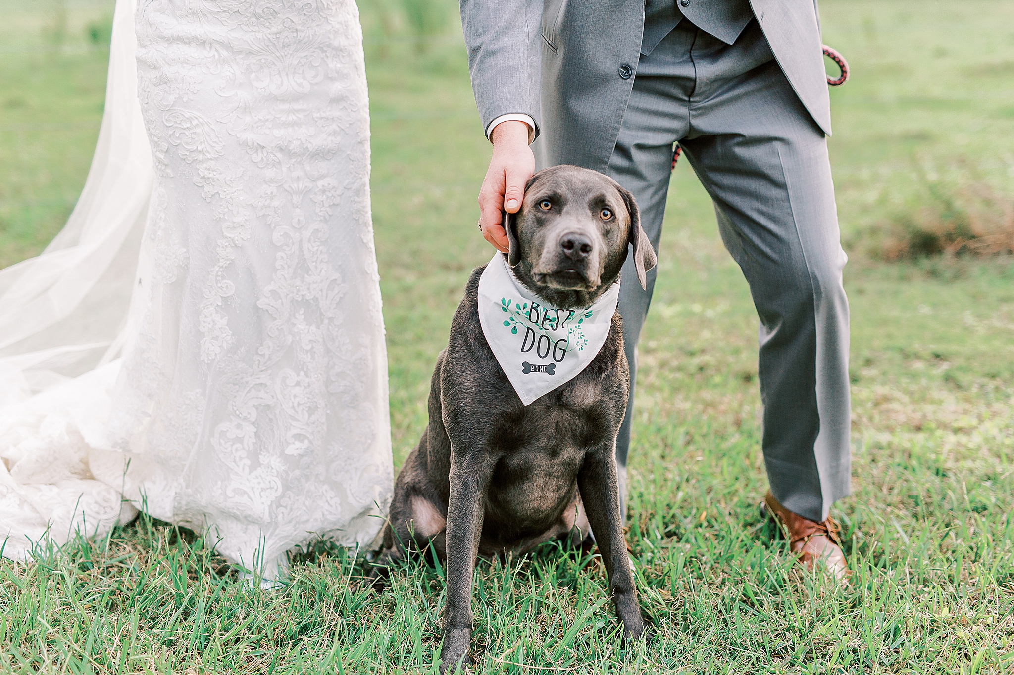 dog sits with owners on wedding day at The Farm at Brusharbor