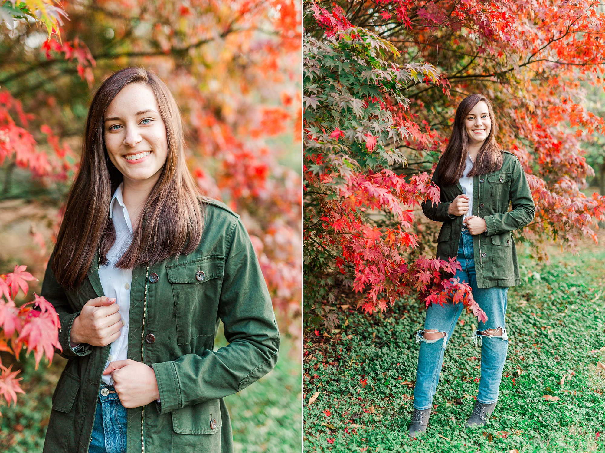 fall senior portraits by red and orange tree