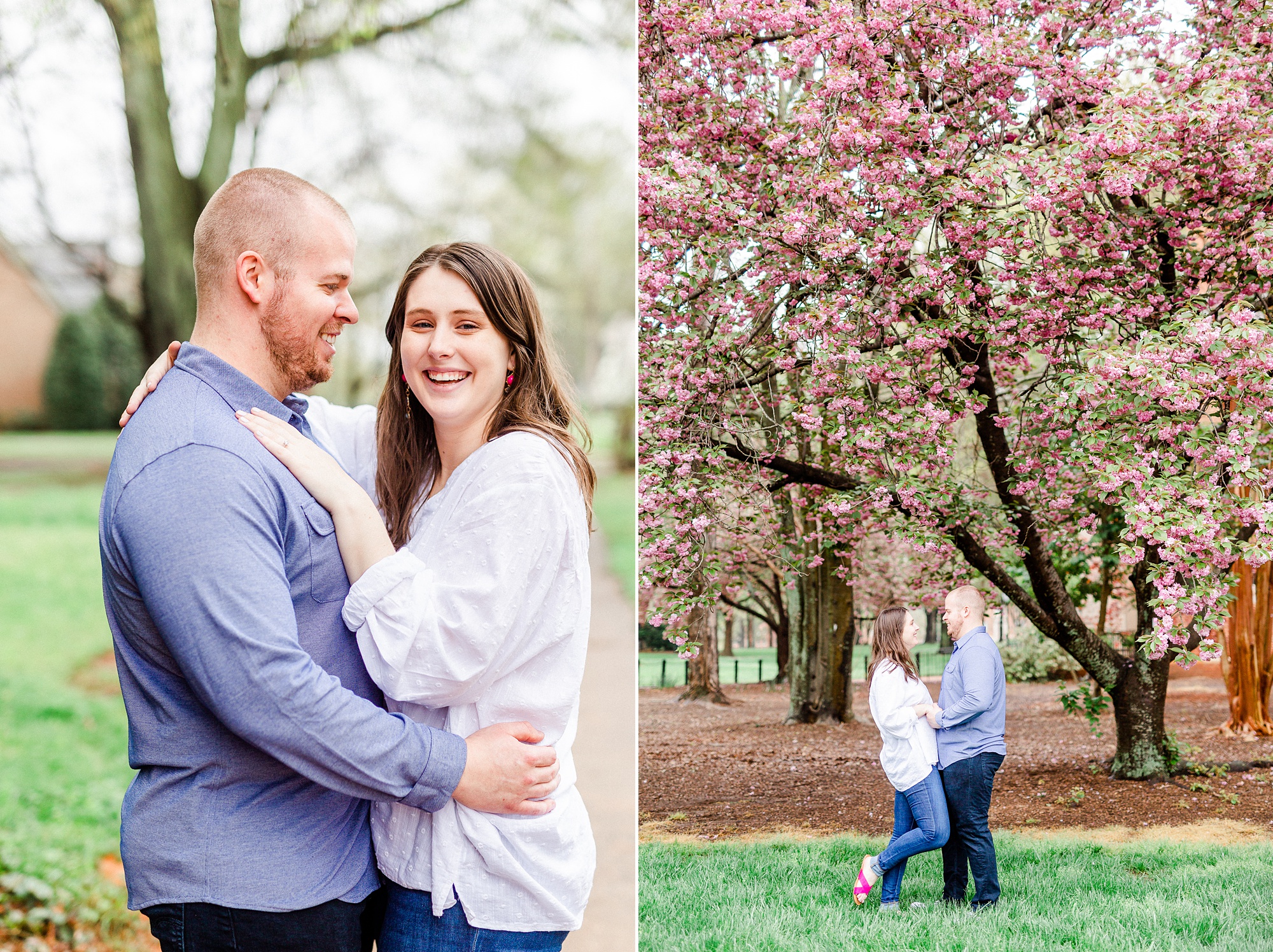 spring time engagement portraits under cherry blossom tree