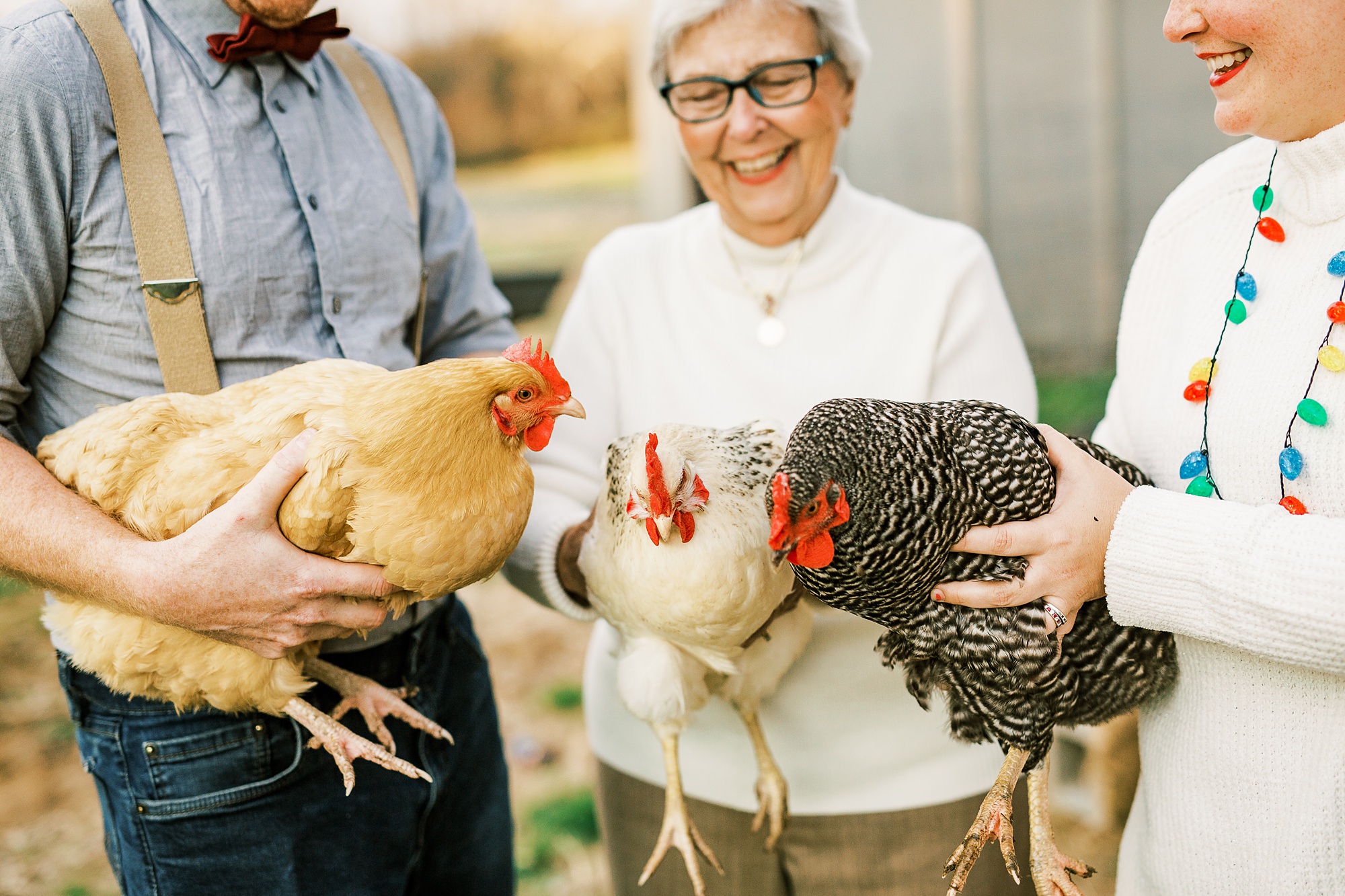 family shows off chickens during portraits on the farm