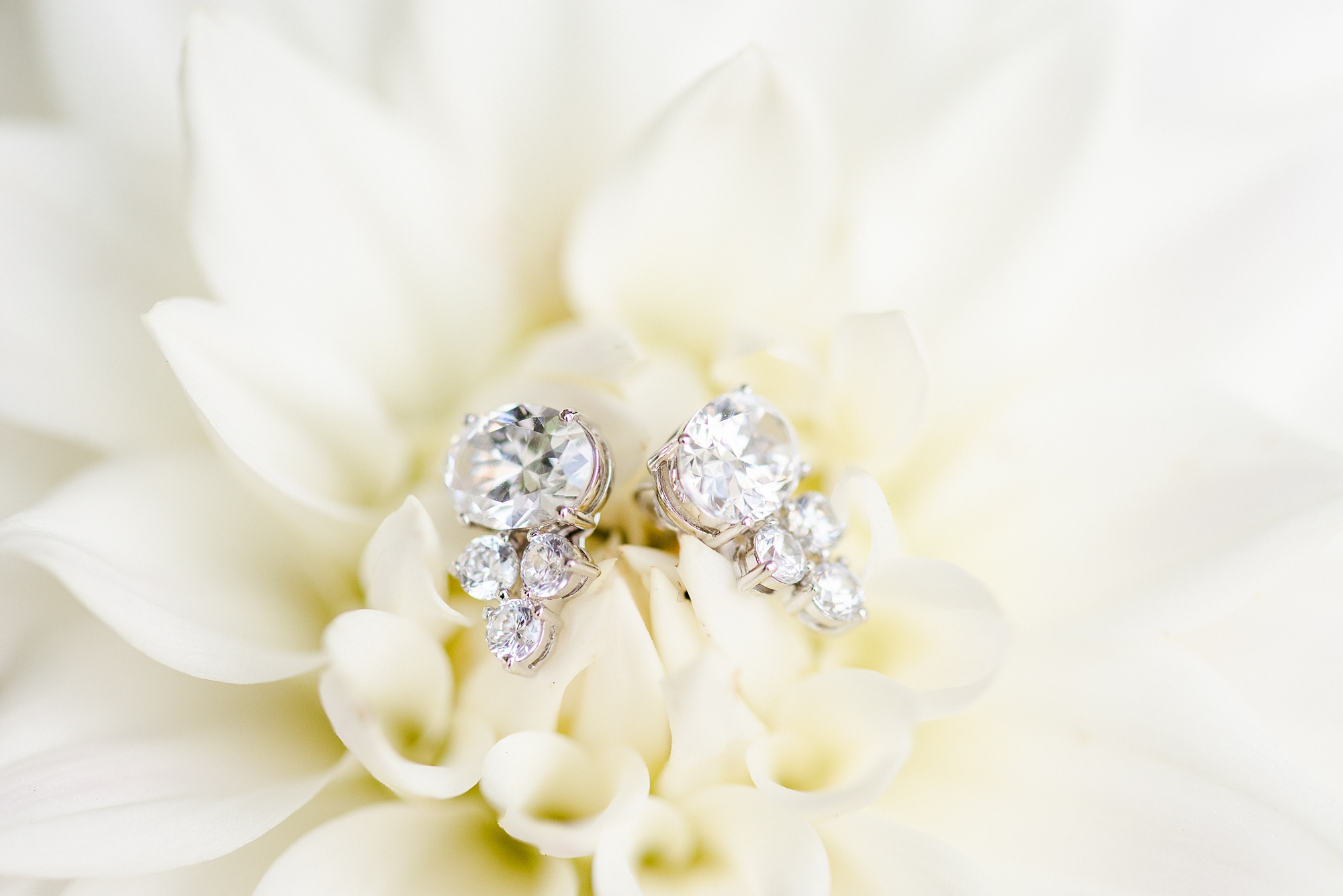 diamond earrings rest on white flower