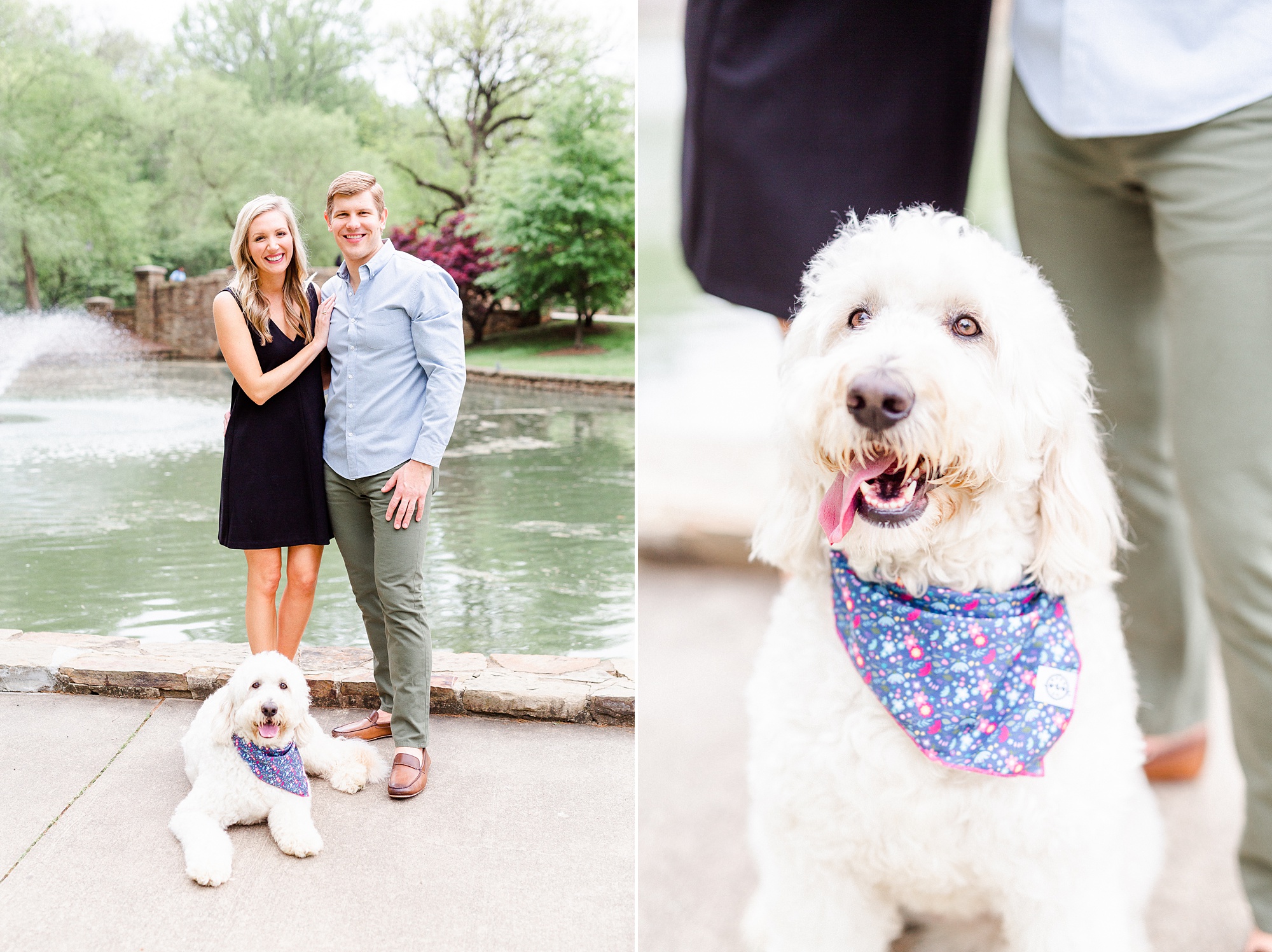 engaged couple poses with golden doodle during CLT engagement photos