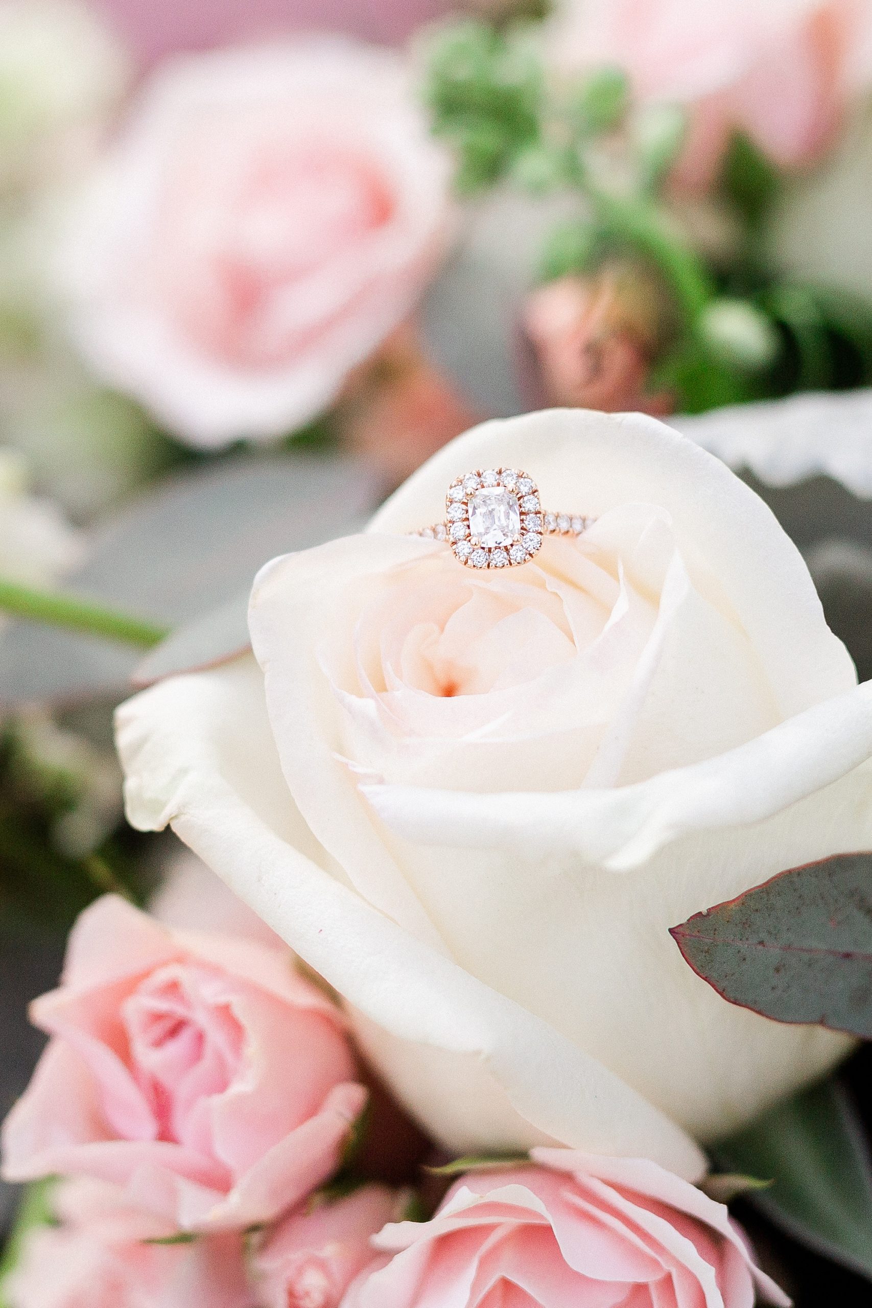 diamond ring rests on pastel rose