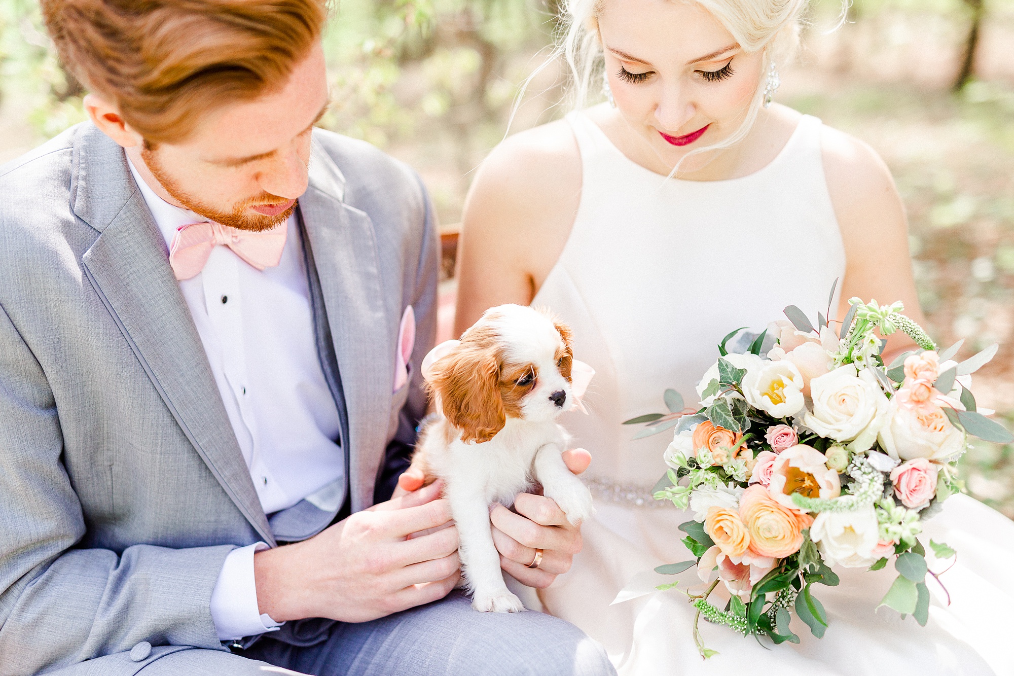 bride and groom pose with puppy dog during wedding photos