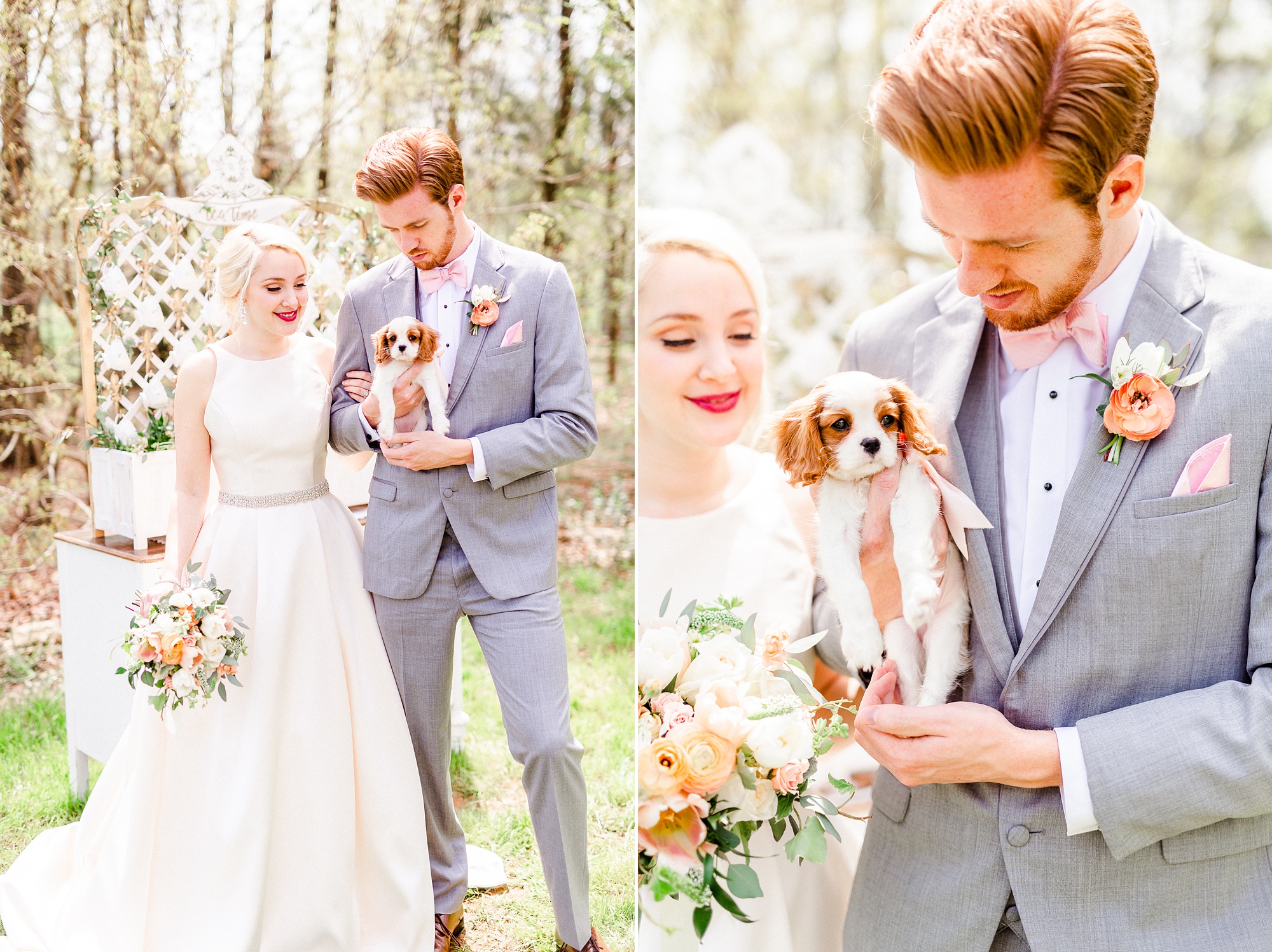 bride and groom pose with dog at Carolina Country Weddings
