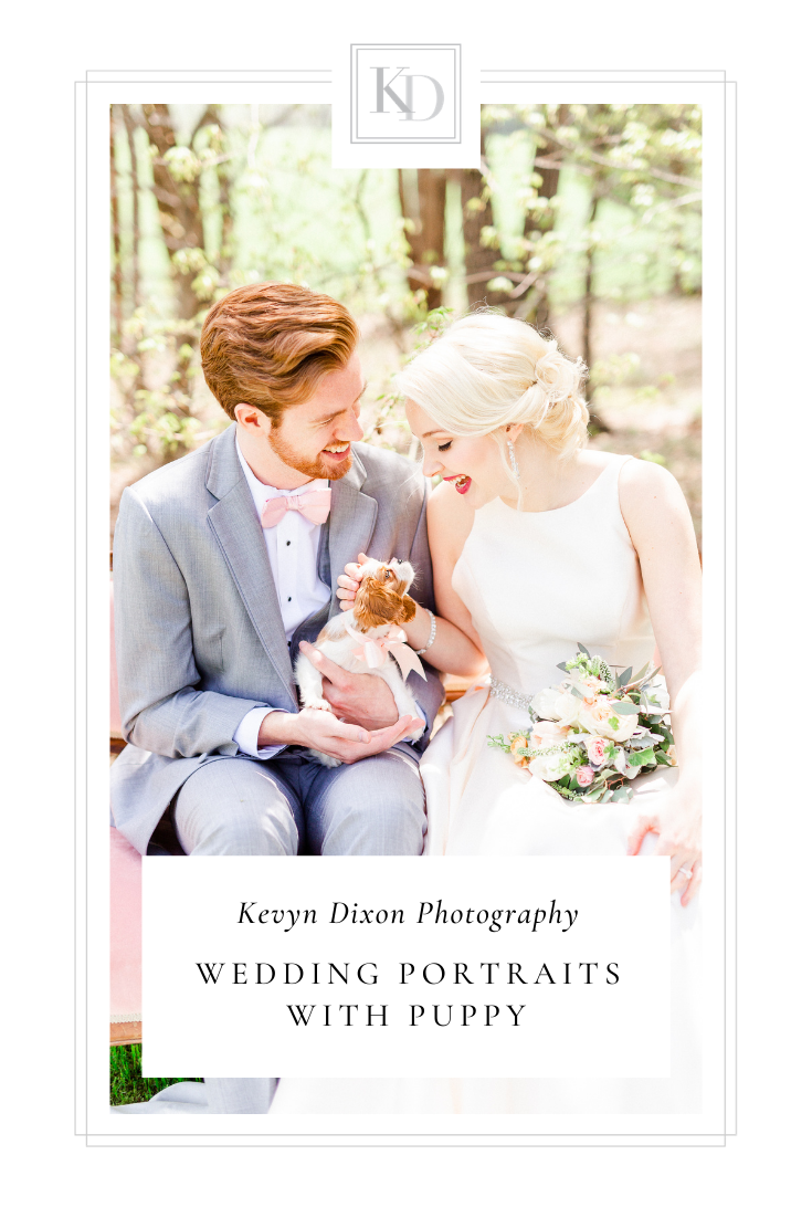 styled shoot at Carolina Country Weddings with puppy dog