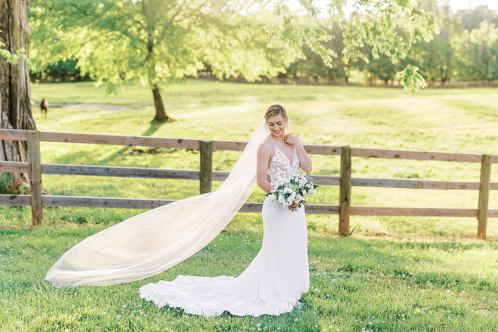 bride poses with veil behind her during Tanglewood bridal portraits