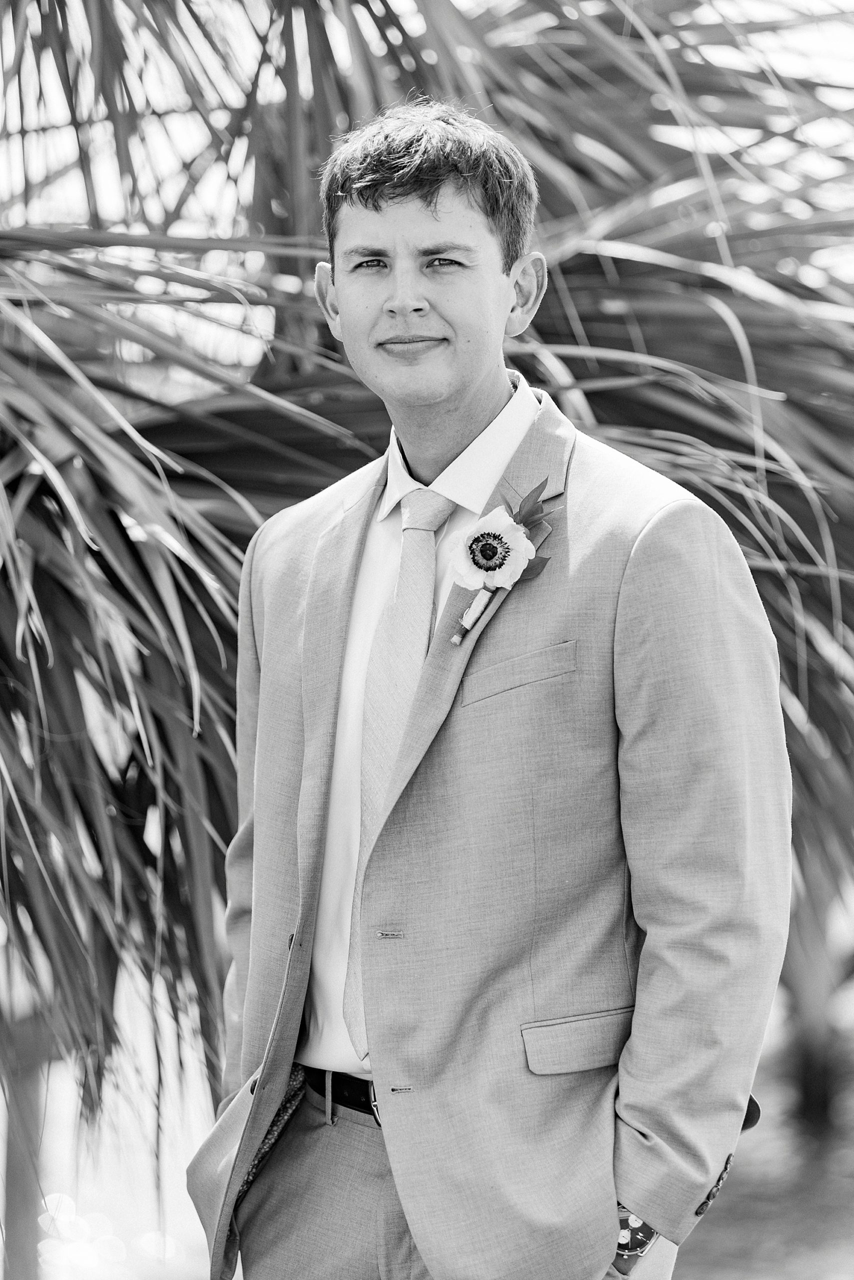 groom poses in suit jacket by palm tree