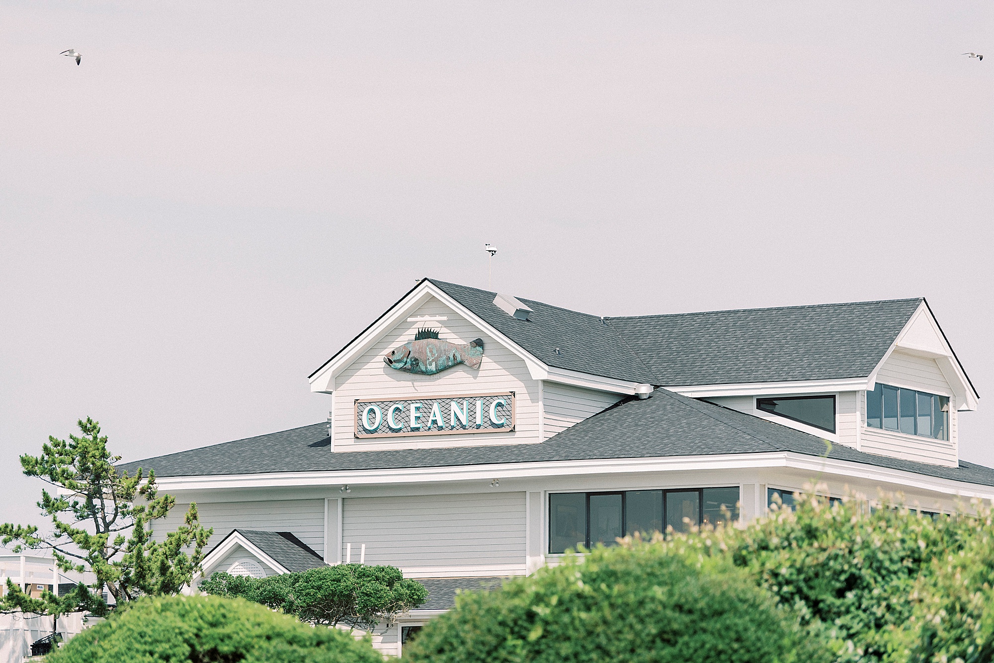 Oceanic Restaurant wedding day photographed by Kevyn Dixon Photography