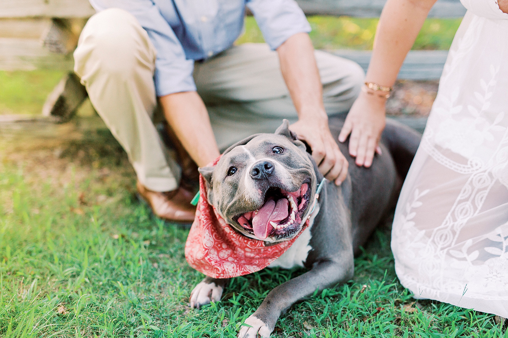 dog in red bandana sits with owners during engagement photos