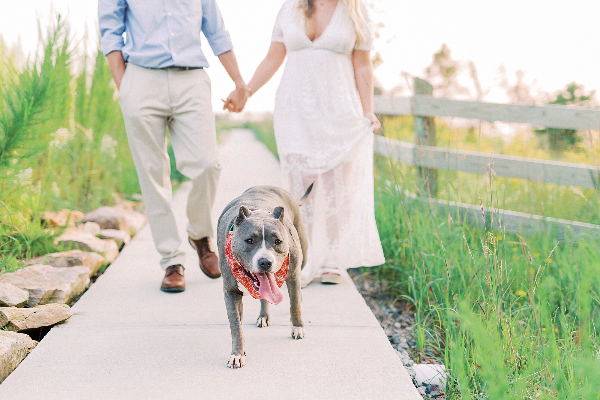 couple holds hands walking with dog