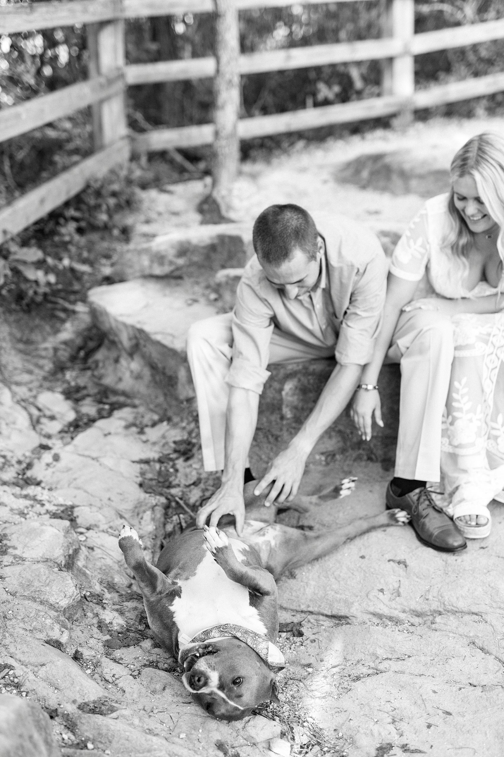 groom pets dog during Mount Airy engagement session