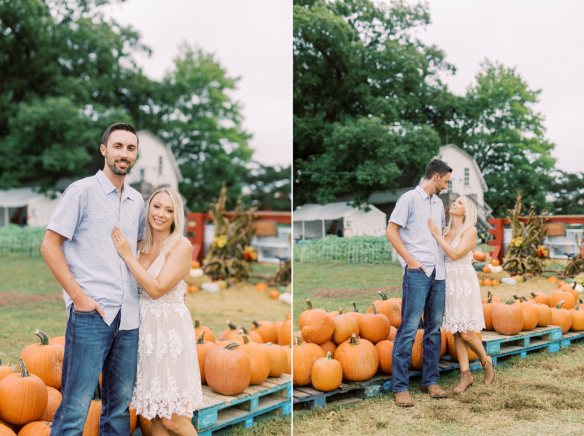 engaged couple poses by pumpkins at Hodges Family Farm