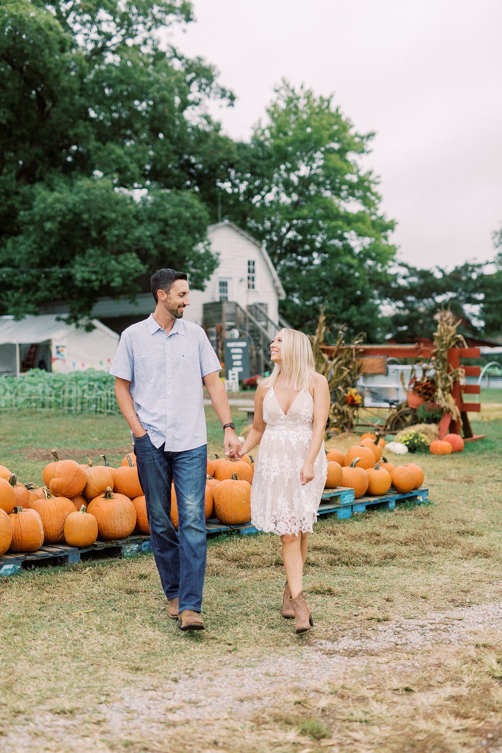 engaged couple poses by pumpkins at Hodges Family Farm