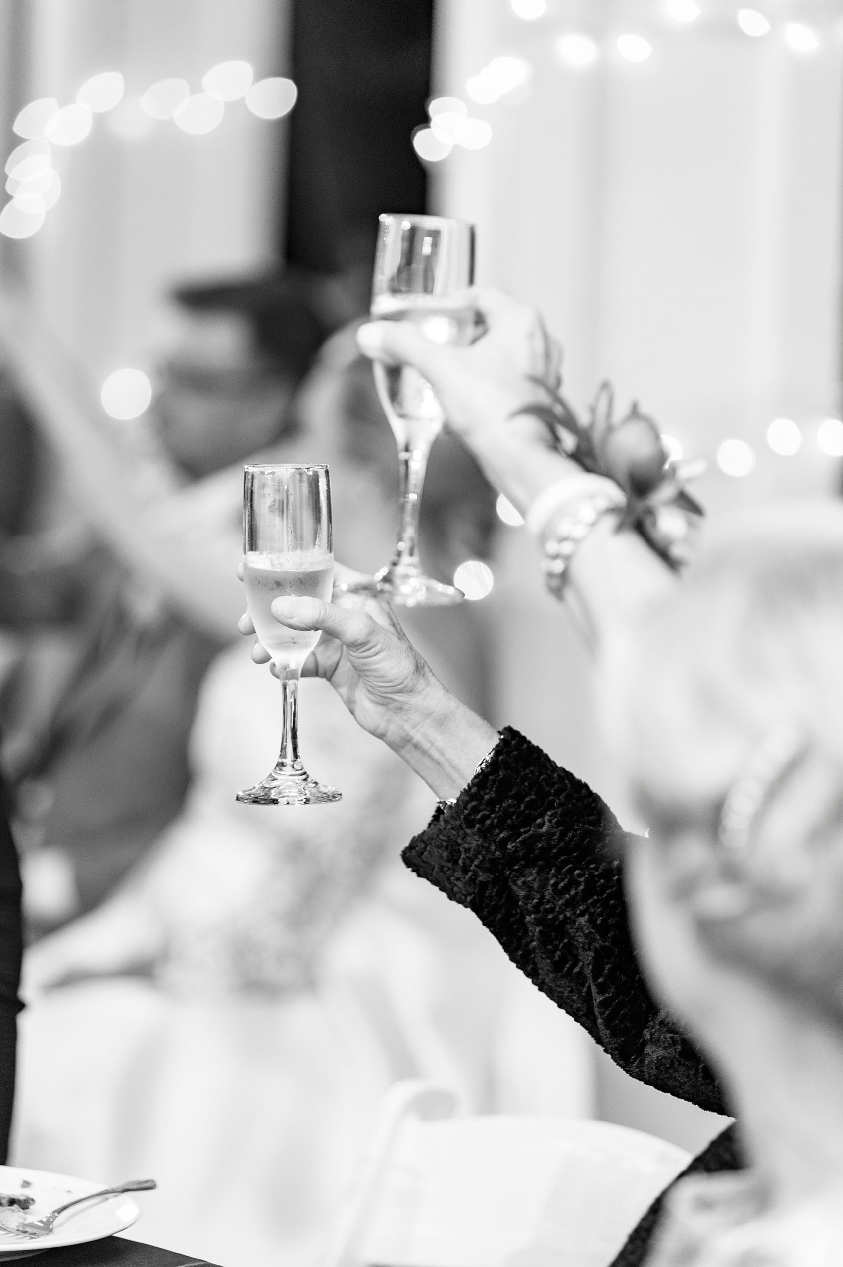 guests toast during NC wedding reception