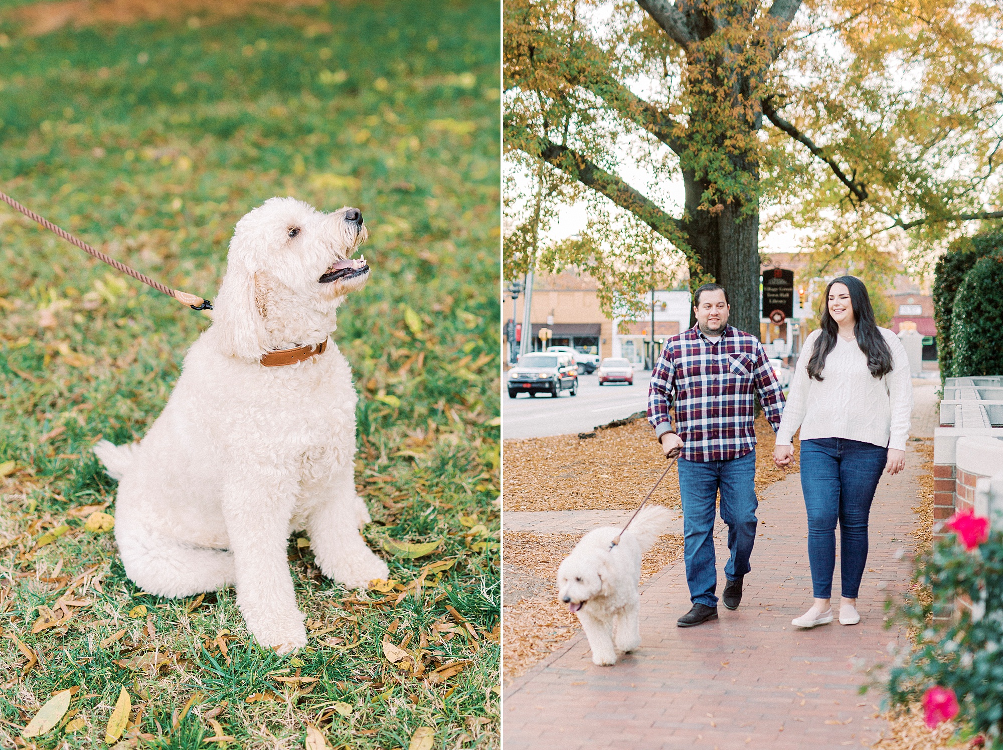 couple plays with dog in park during fall Downtown Davidson engagement session