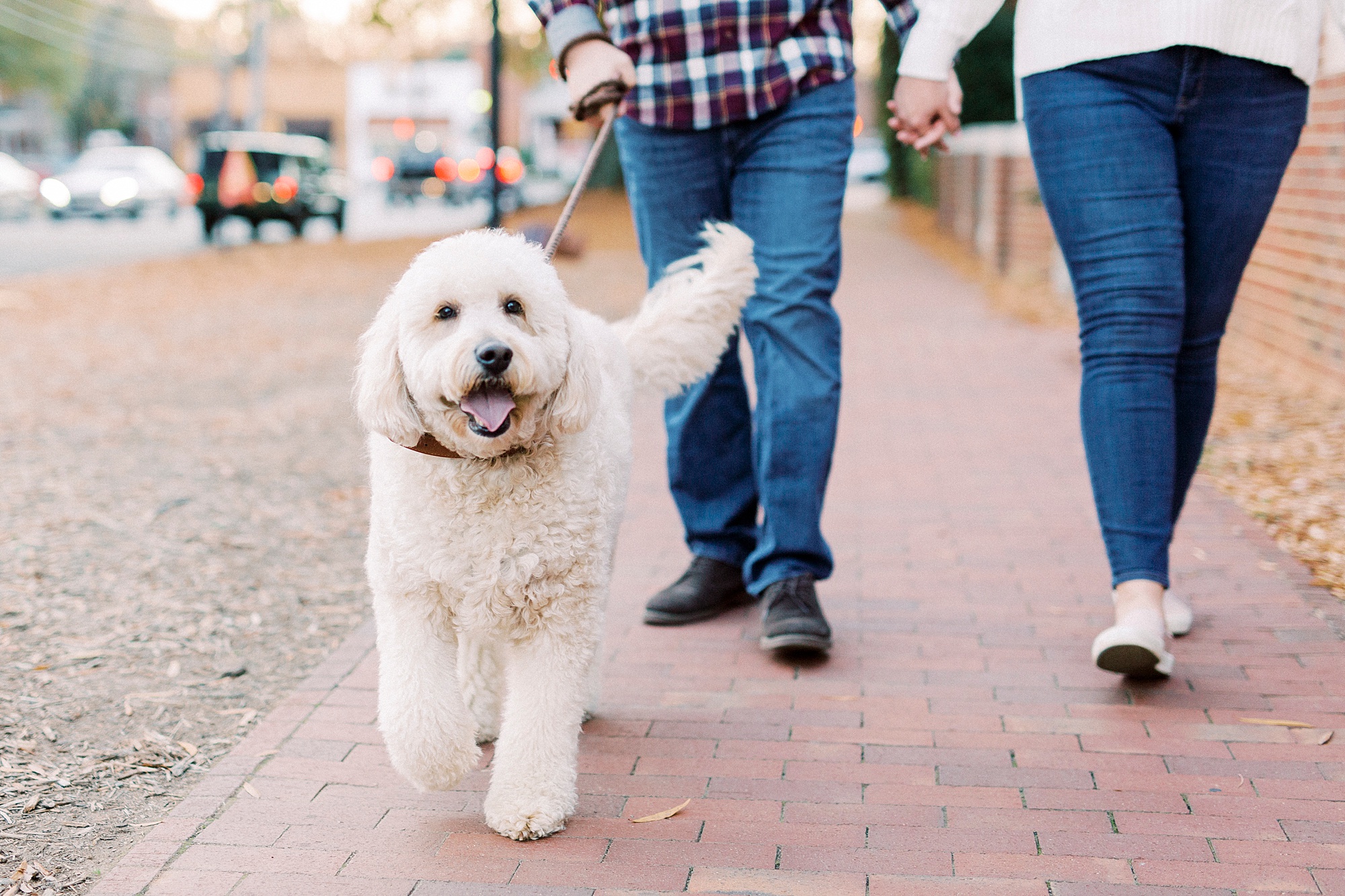 engaged couple walks with dog on sidewalk in Downtown Davidson
