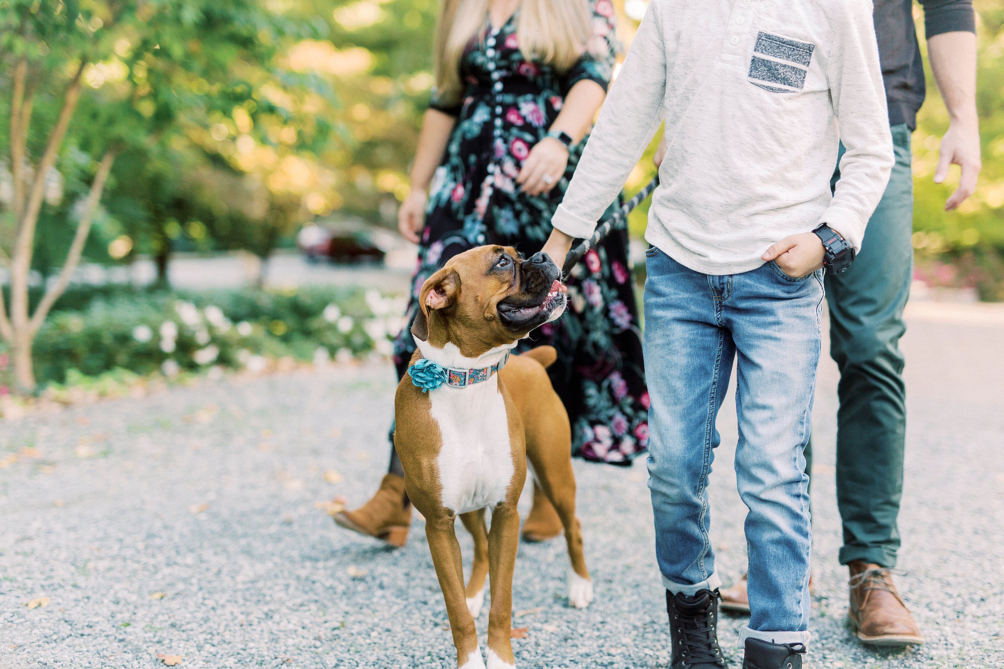 dog looks up at owner during family photos at Ritchie Hill