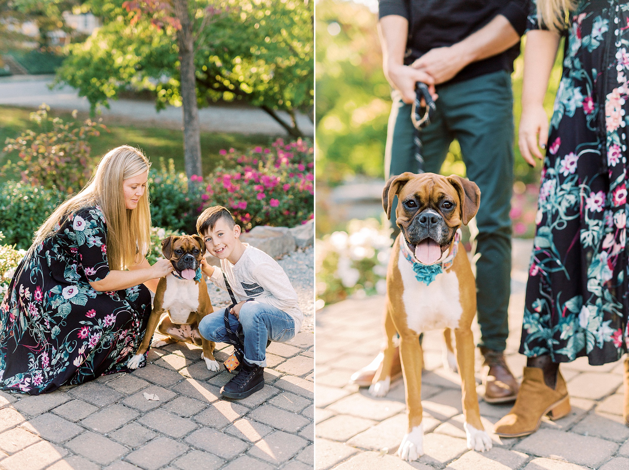 mom kneels with dog and son during fall family photos in Concord NC