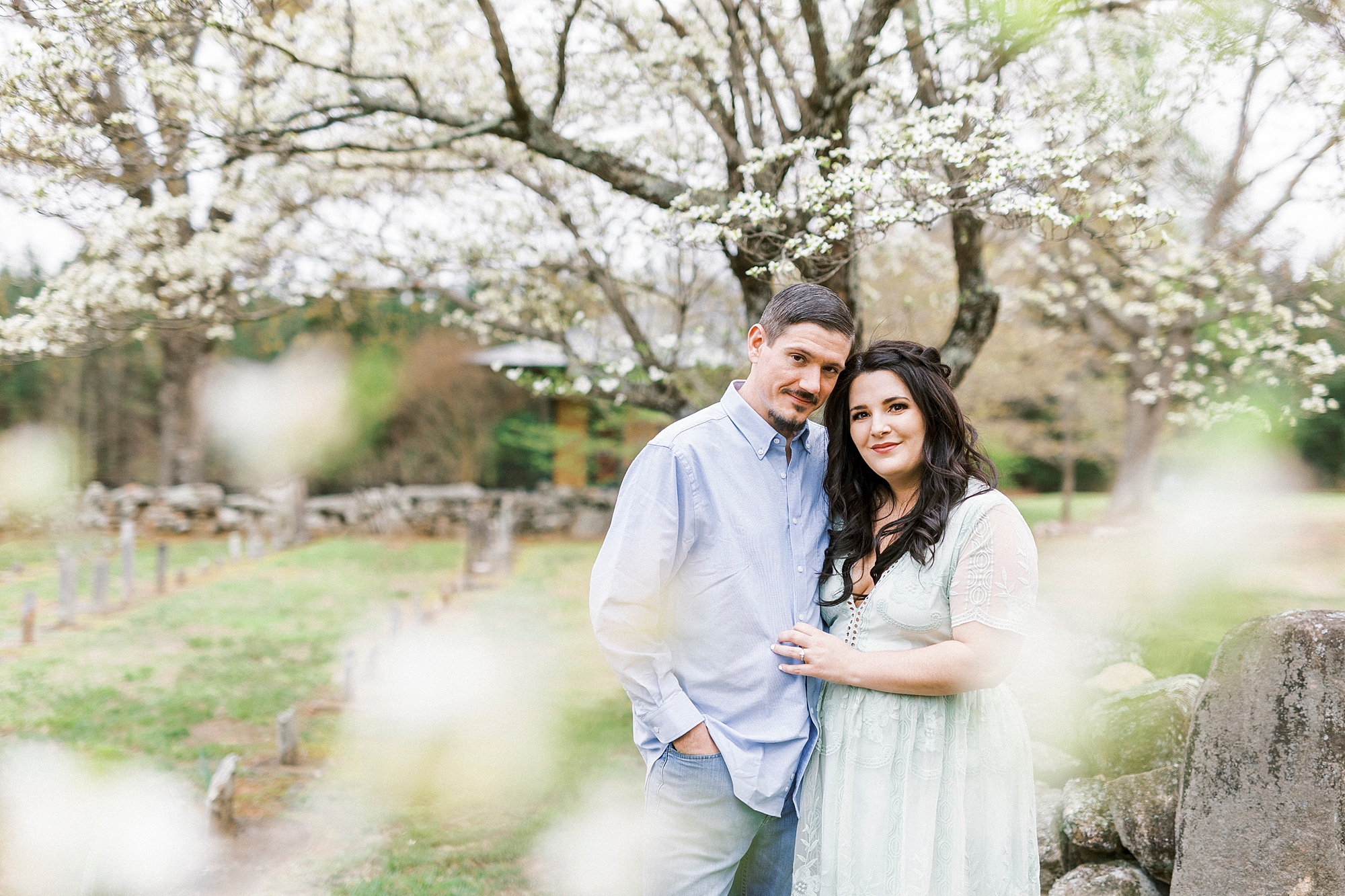 engaged couple stands under white flowering tree against stone wall