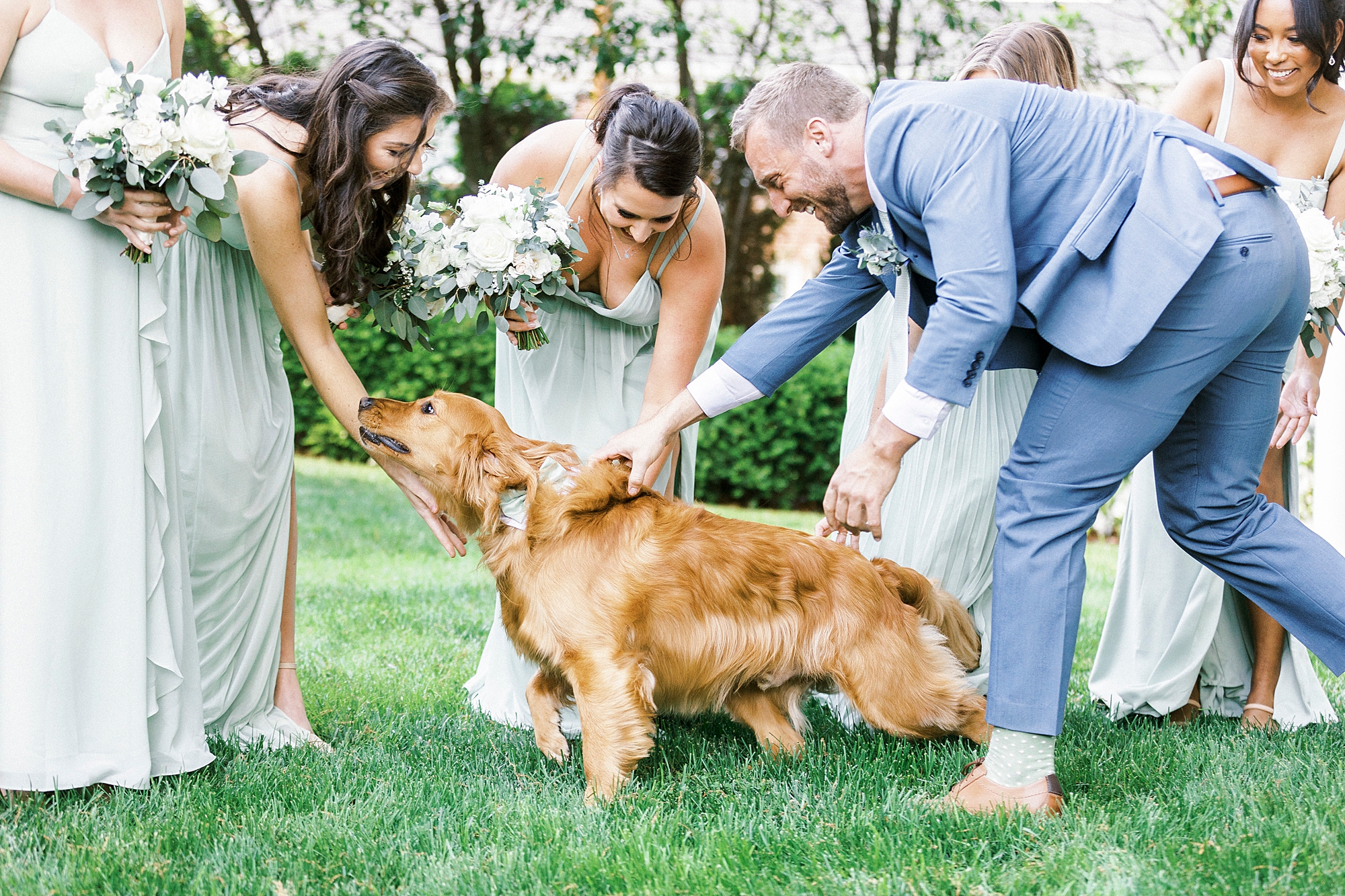 bridal party pets golden retriever during ceremony 
