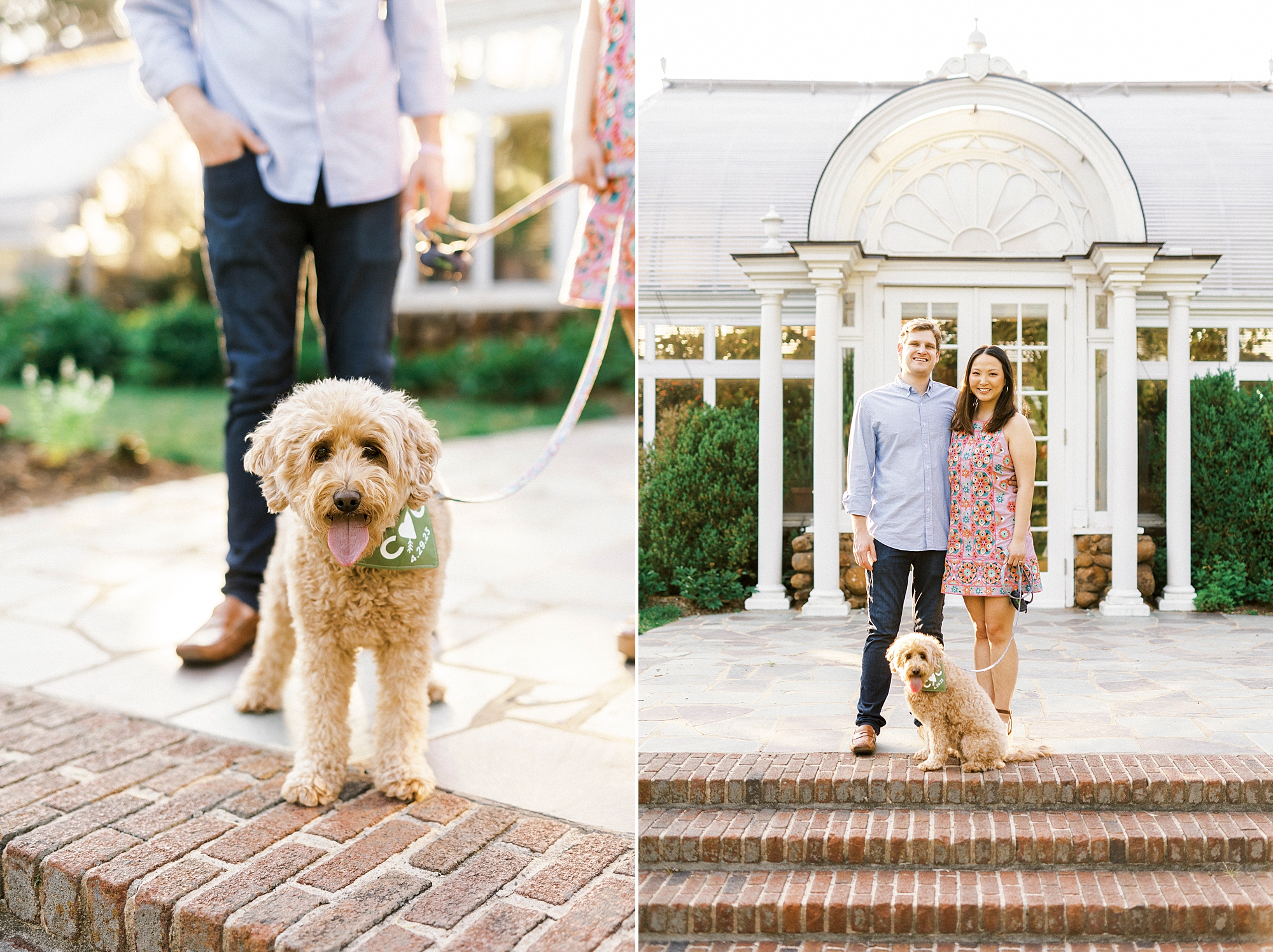 engaged couple stands with mini golden doodle by entry at Reynolda Gardens