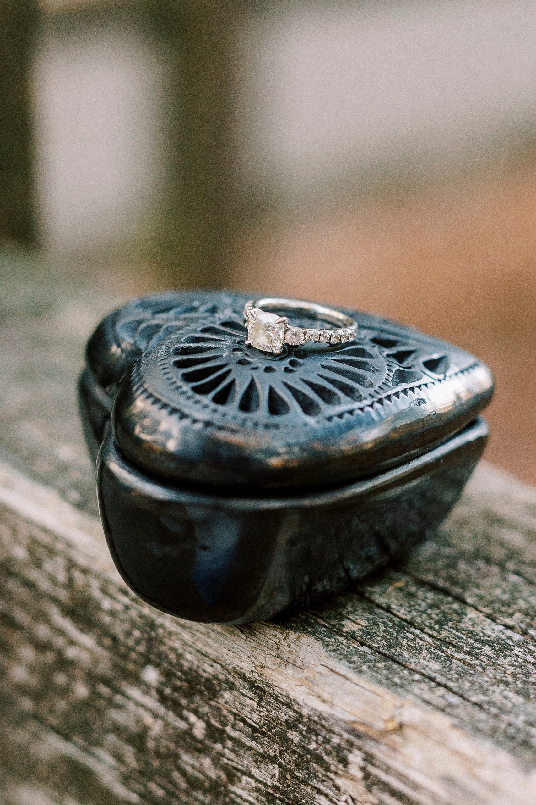 diamond ring rests on black ring box at Latta Nature Preserve