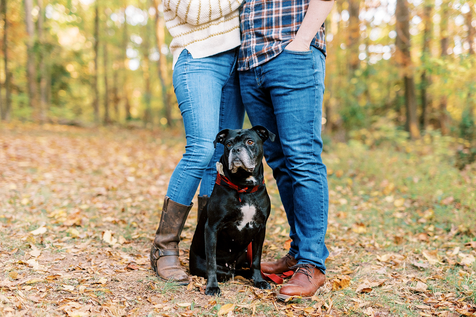 dog sits between couple's legs during fall photos at Latta Nature Preserve