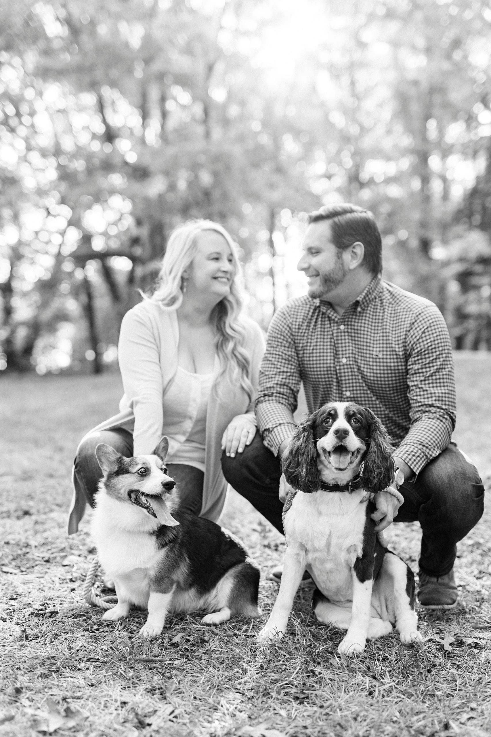 couple kneels down with dogs during fall engagement session