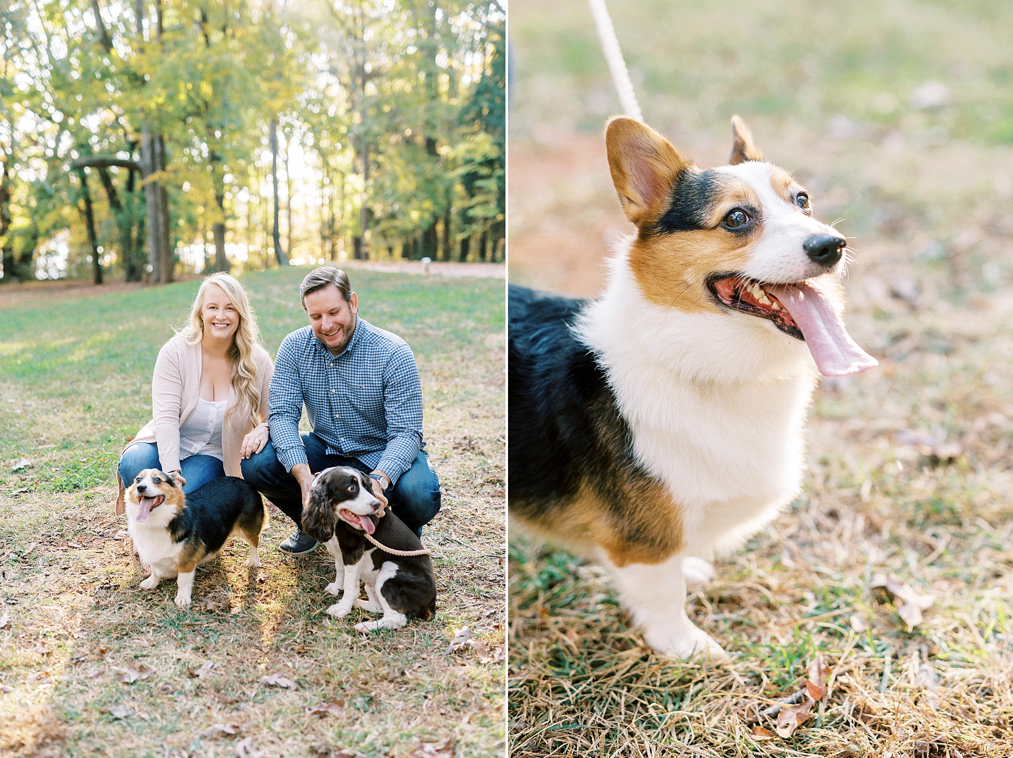 dog stands with owners during fall NC engagement session