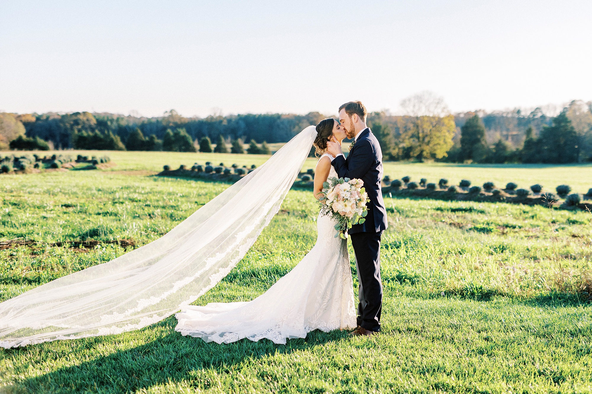 groom kisses bride's forehead during portraits on lawn at Chickadee Hill Farms
