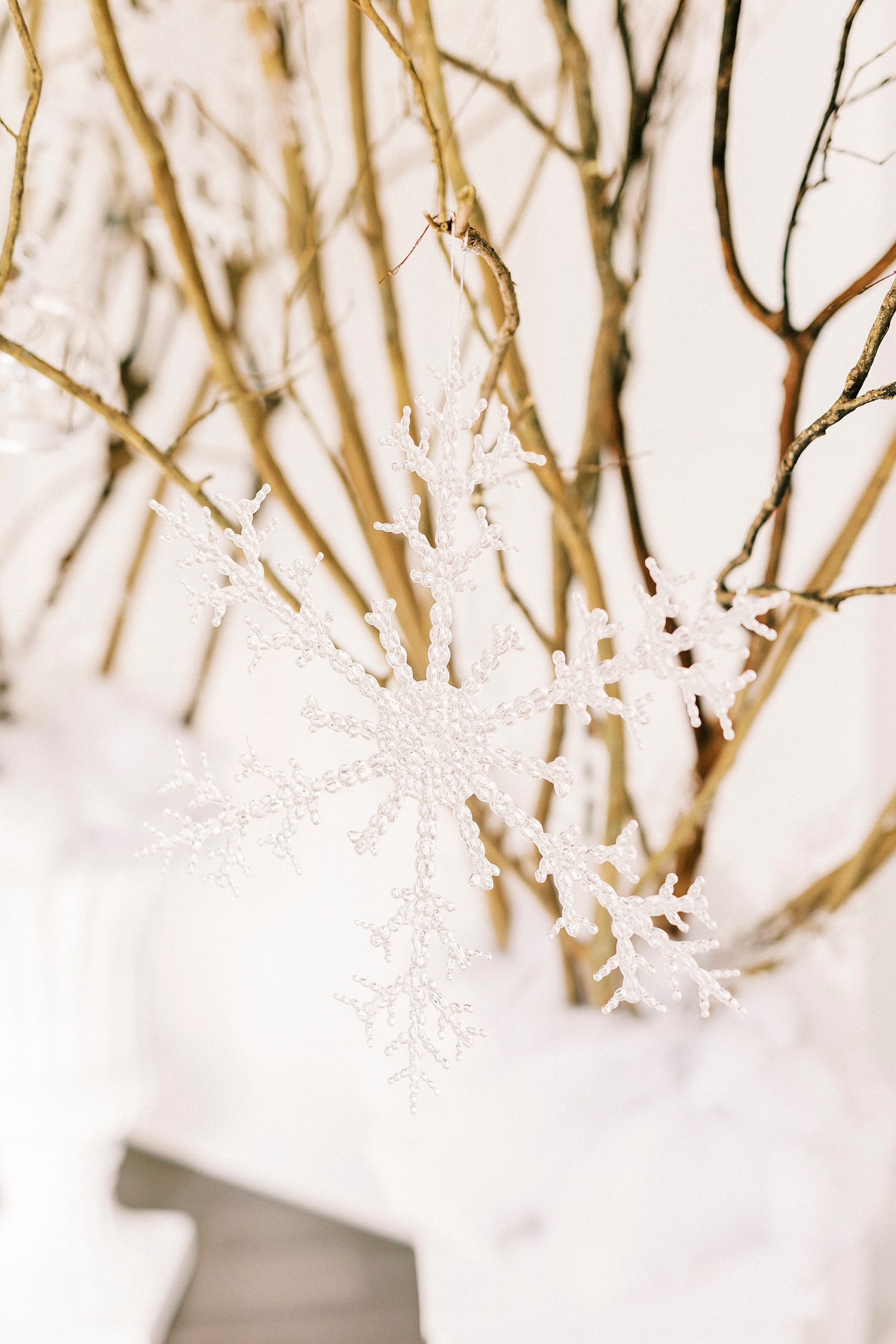 snowflakes on trees for winter wonderland wedding at River Run Country Club